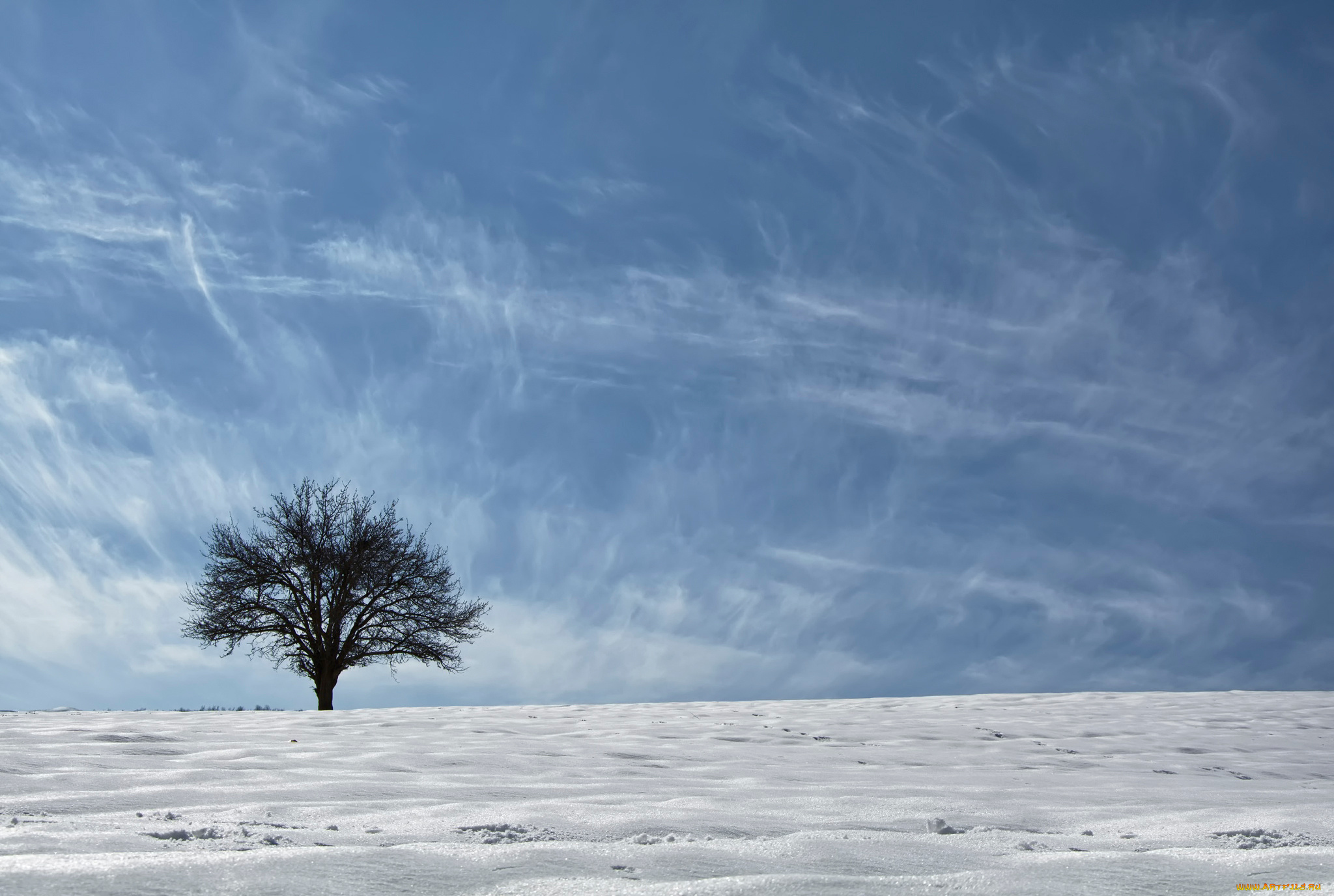 природа, зима, небо, снег, дерево, азия, этногеографическая, область, курдистан