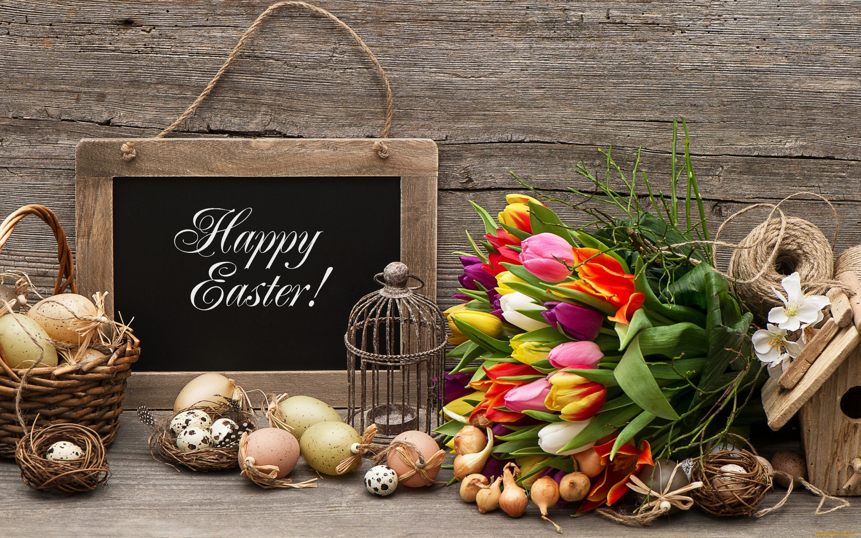 праздничные, пасха, flowers, eggs, easter, тюльпаны, цветы, яйца