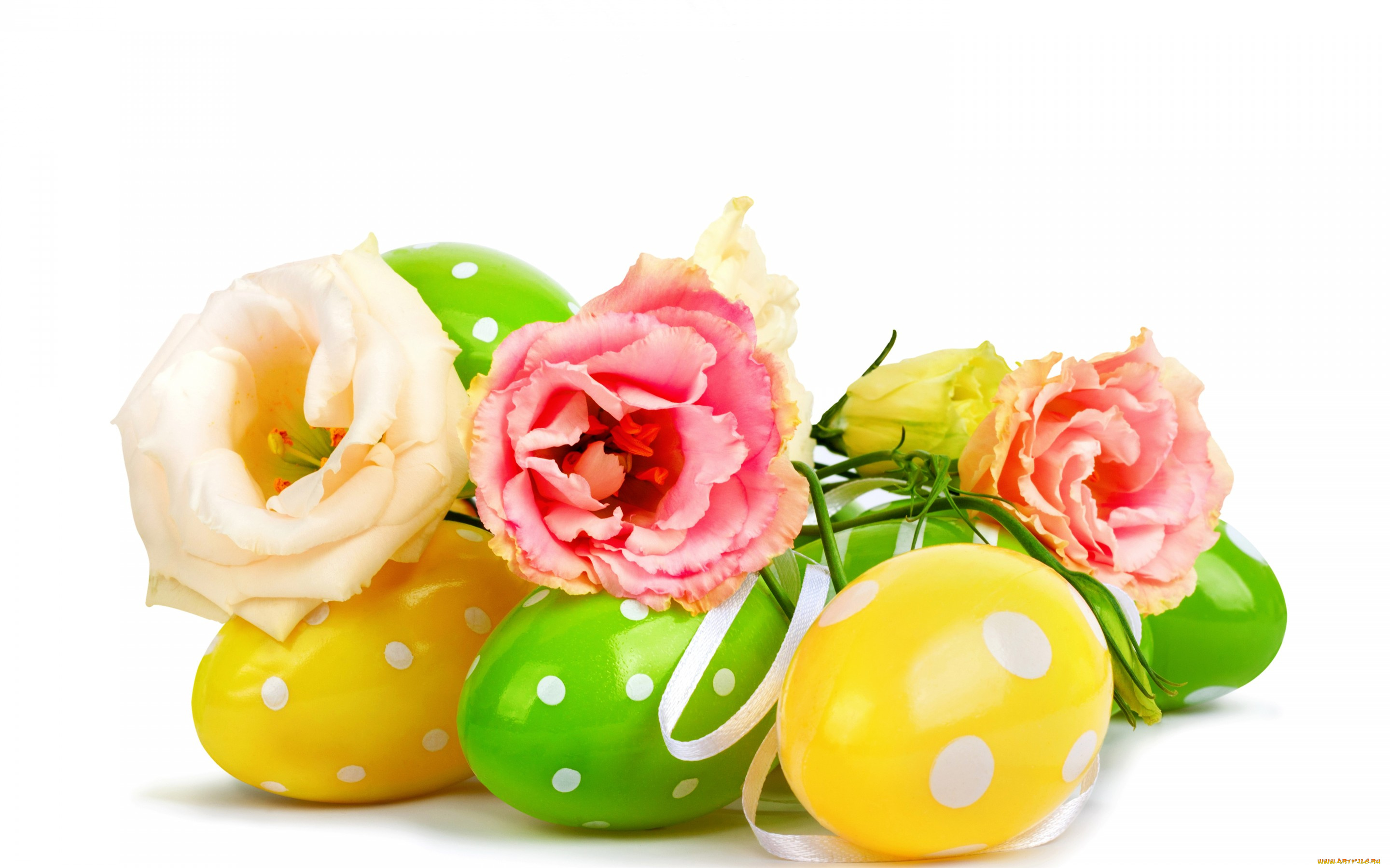 праздничные, пасха, розы, цветы, flowers, easter