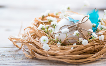 Картинка праздничные пасха easter eggs spring flowers яйца гнездо цветы