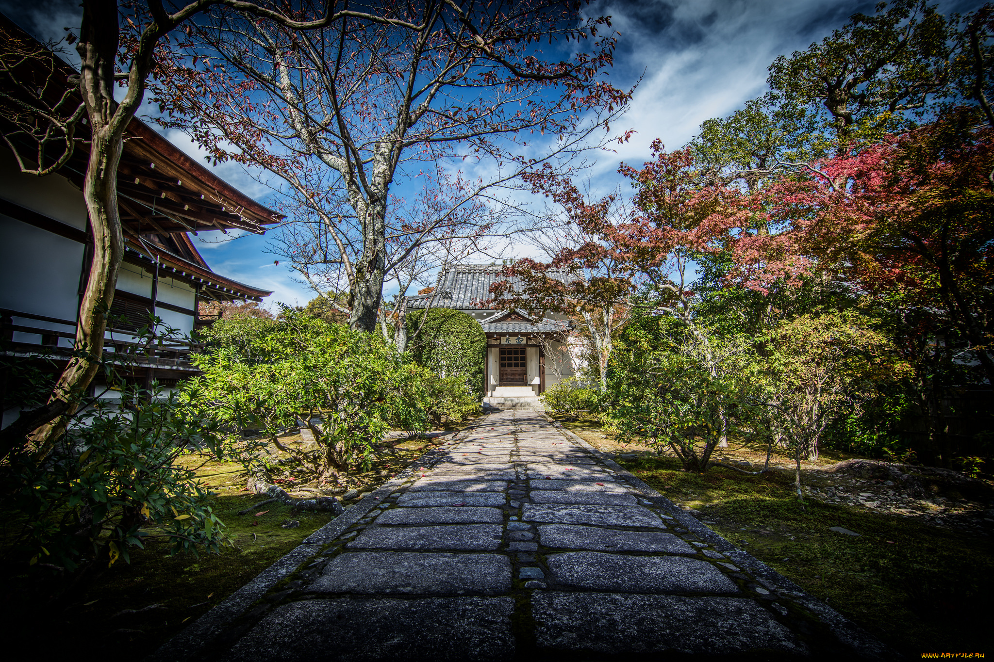 kyoto, города, киото, , Япония, храм, парк