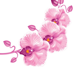 Картинка векторная+графика цветы+ flowers цветы