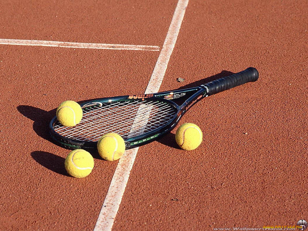 спорт, теннис