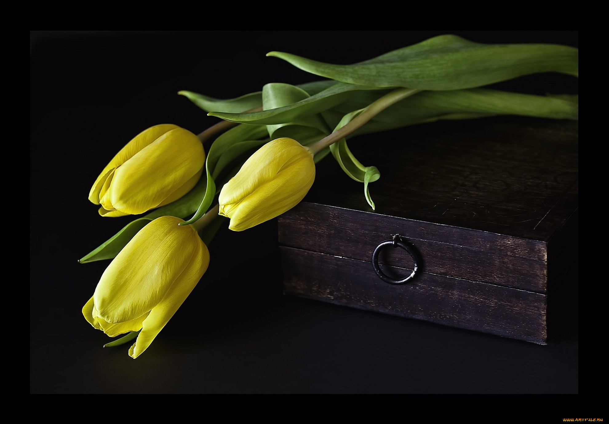 цветы, тюльпаны, желтый, ящик