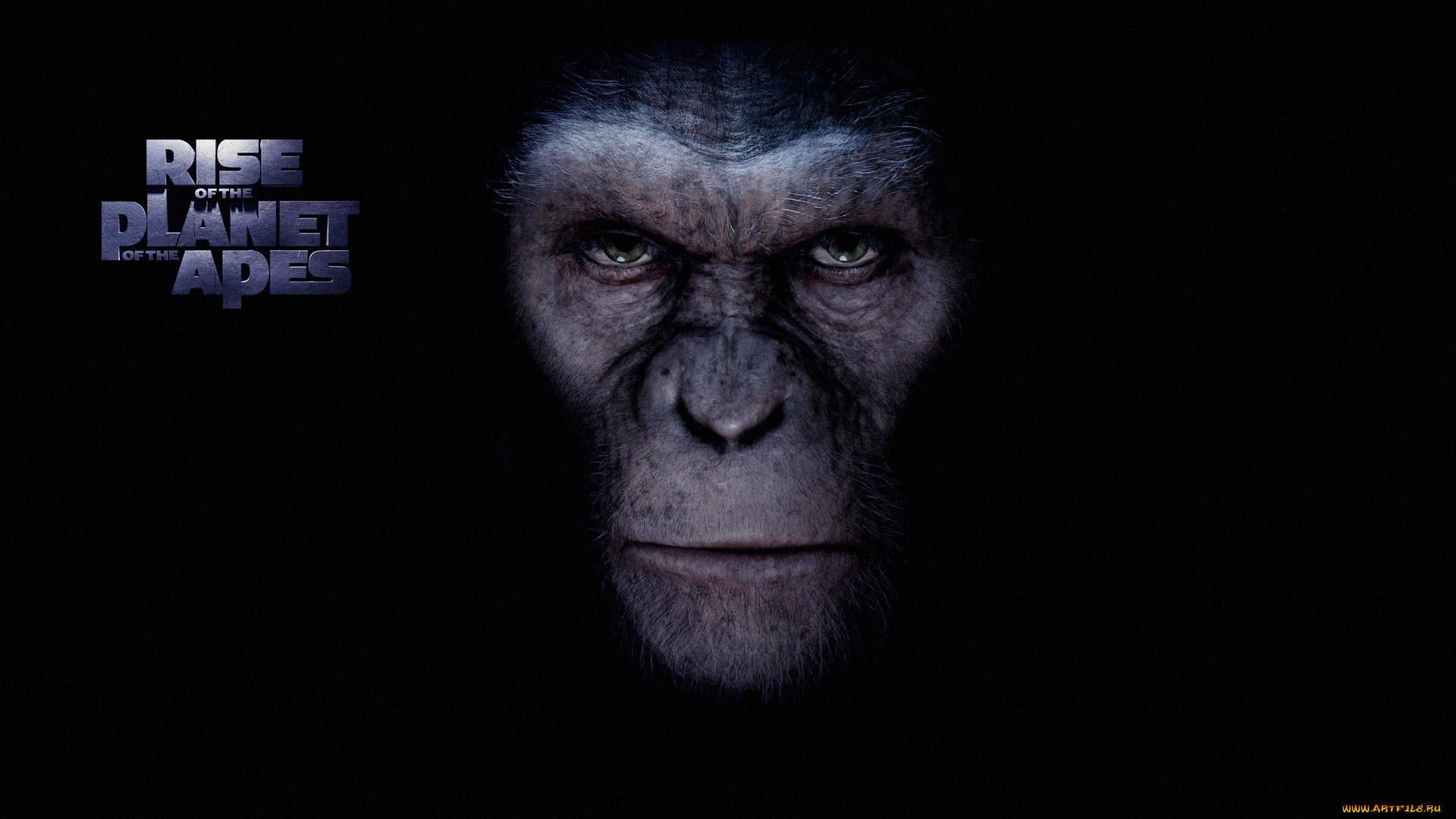 кино, фильмы, rise, of, the, planet, apes, обезьяна