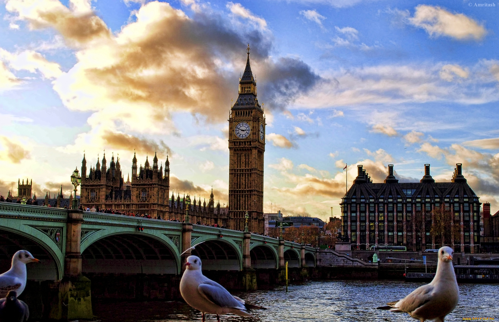 города, лондон, великобритания, чайки, биг, бен