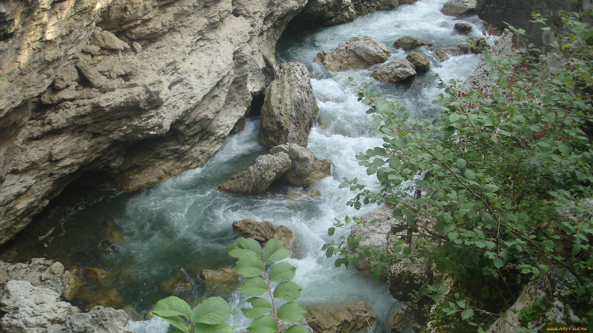 река, белая, природа, вода, кавказ