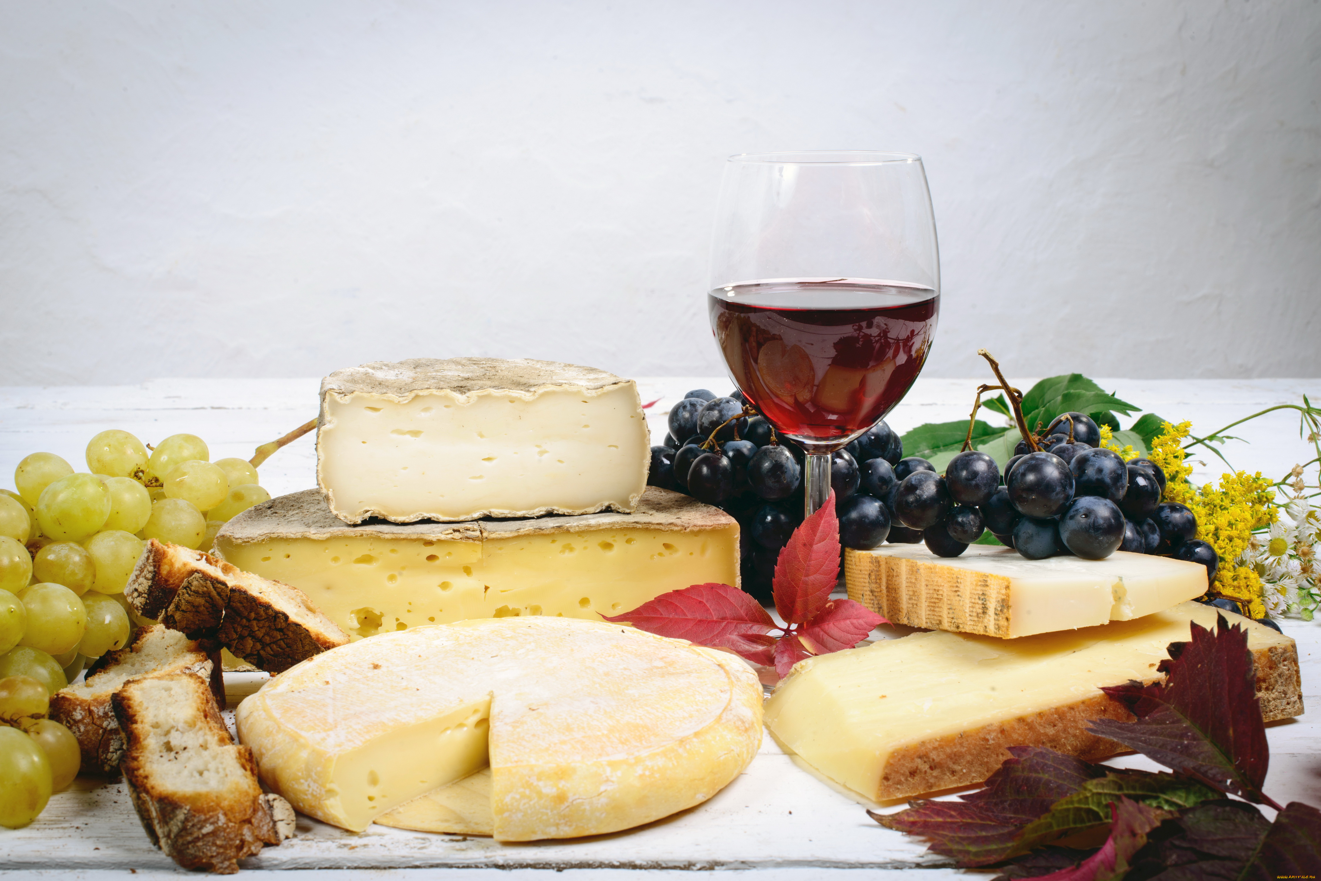 Вино, виноград, корзина, сыр с плесенью скачать