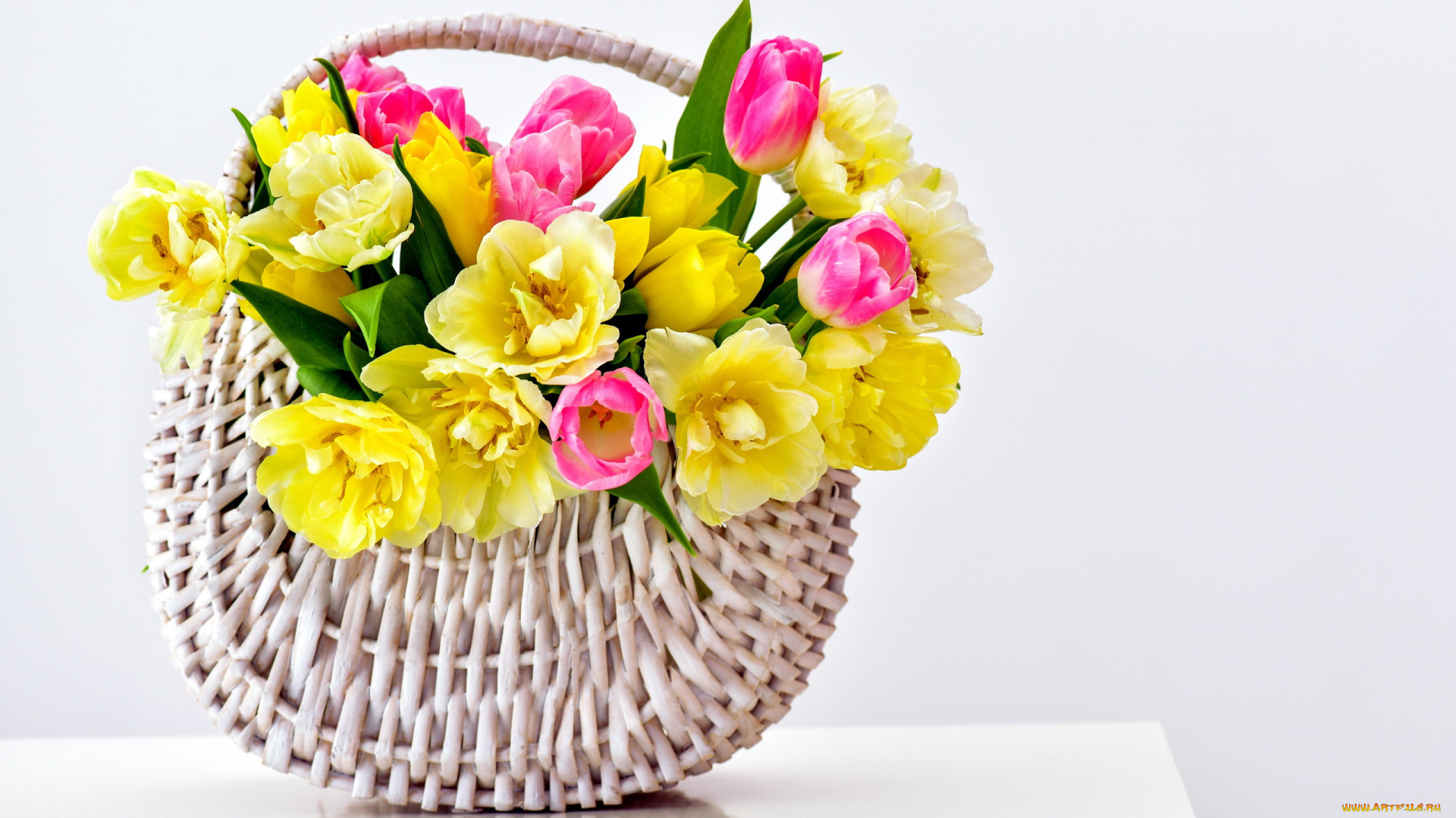 цветы, тюльпаны, корзинка, желтые, розовые