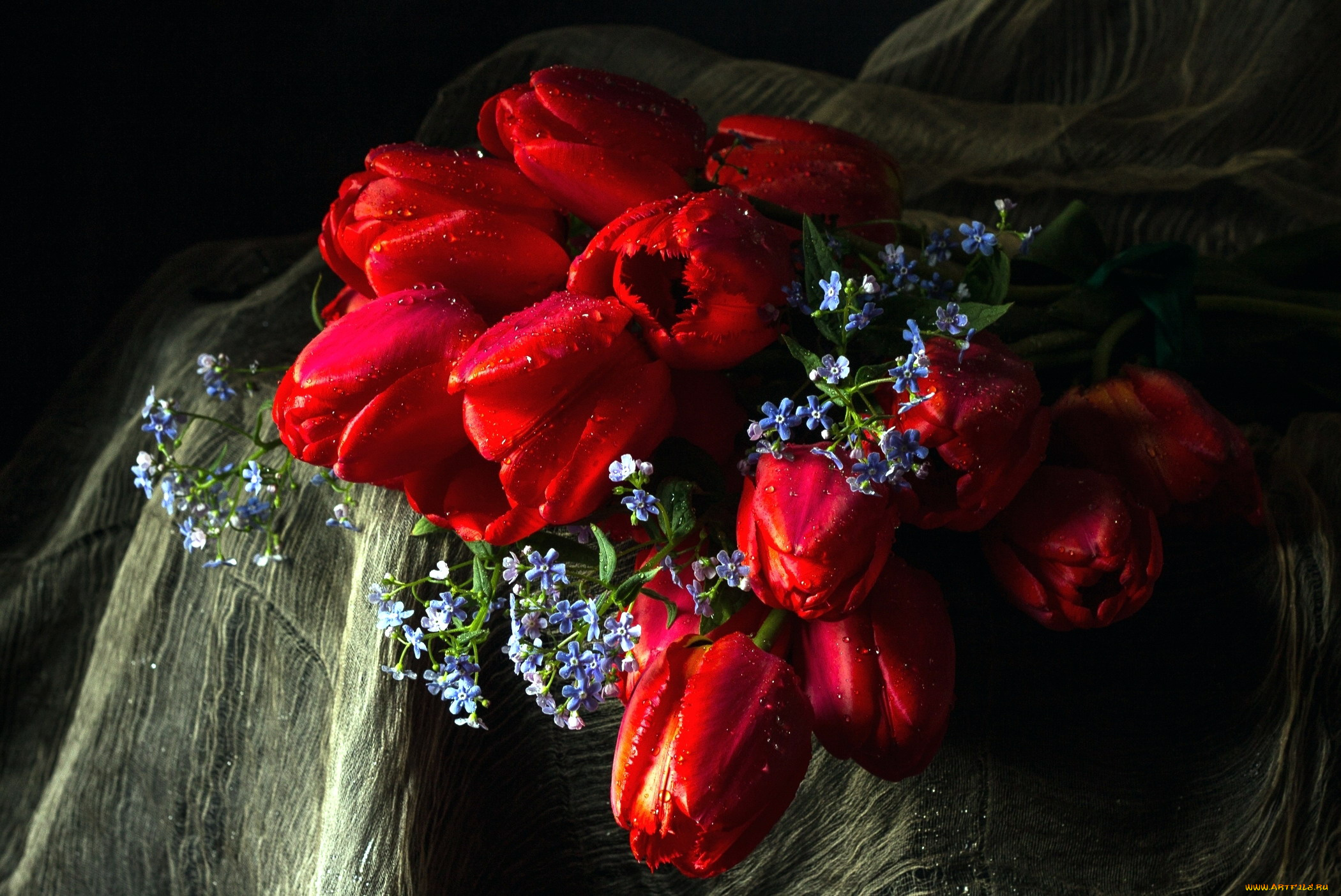 цветы, разные, вместе, незабудки, тюльпаны