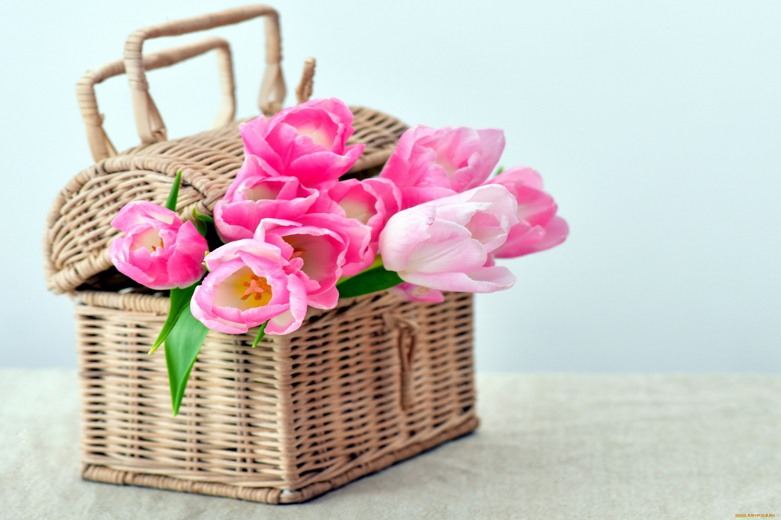 цветы, тюльпаны, розовые, корзинка