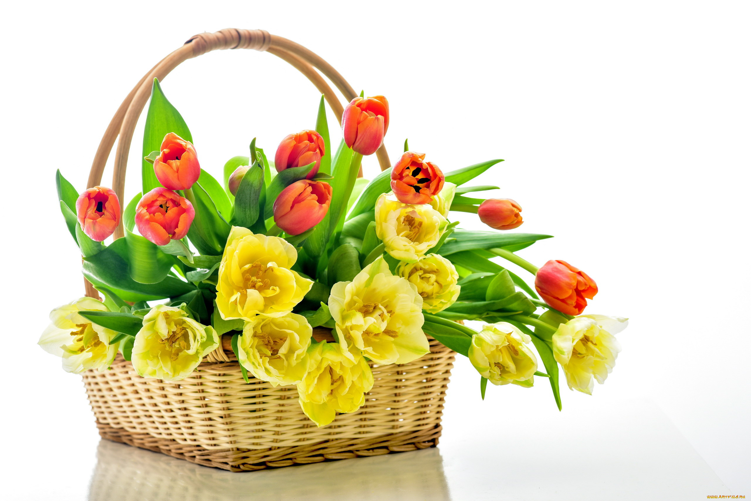 цветы, тюльпаны, желтые, корзинка