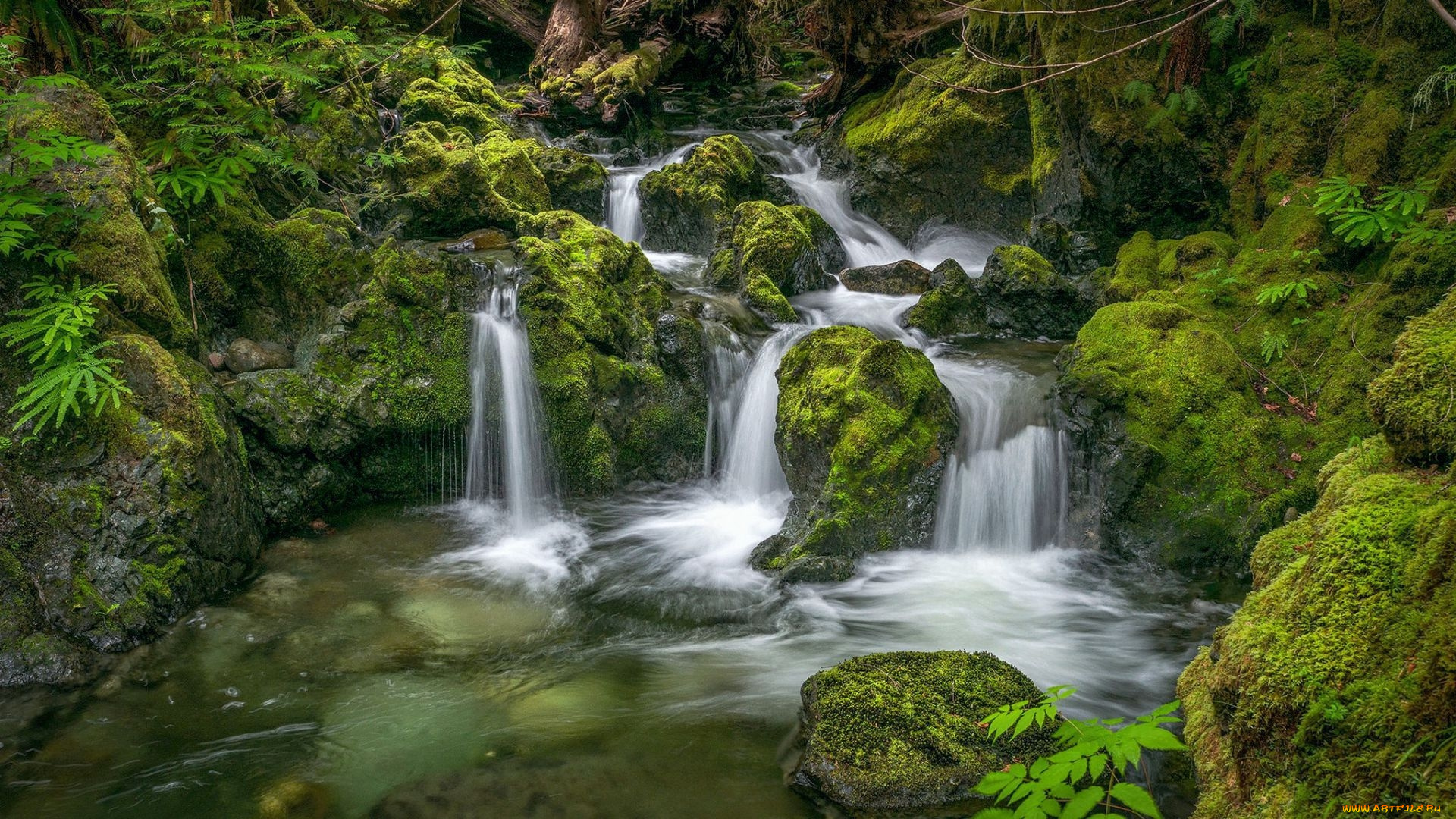 nile, creek, waterfall, british, columbia, природа, водопады, nile, creek, waterfall, british, columbia