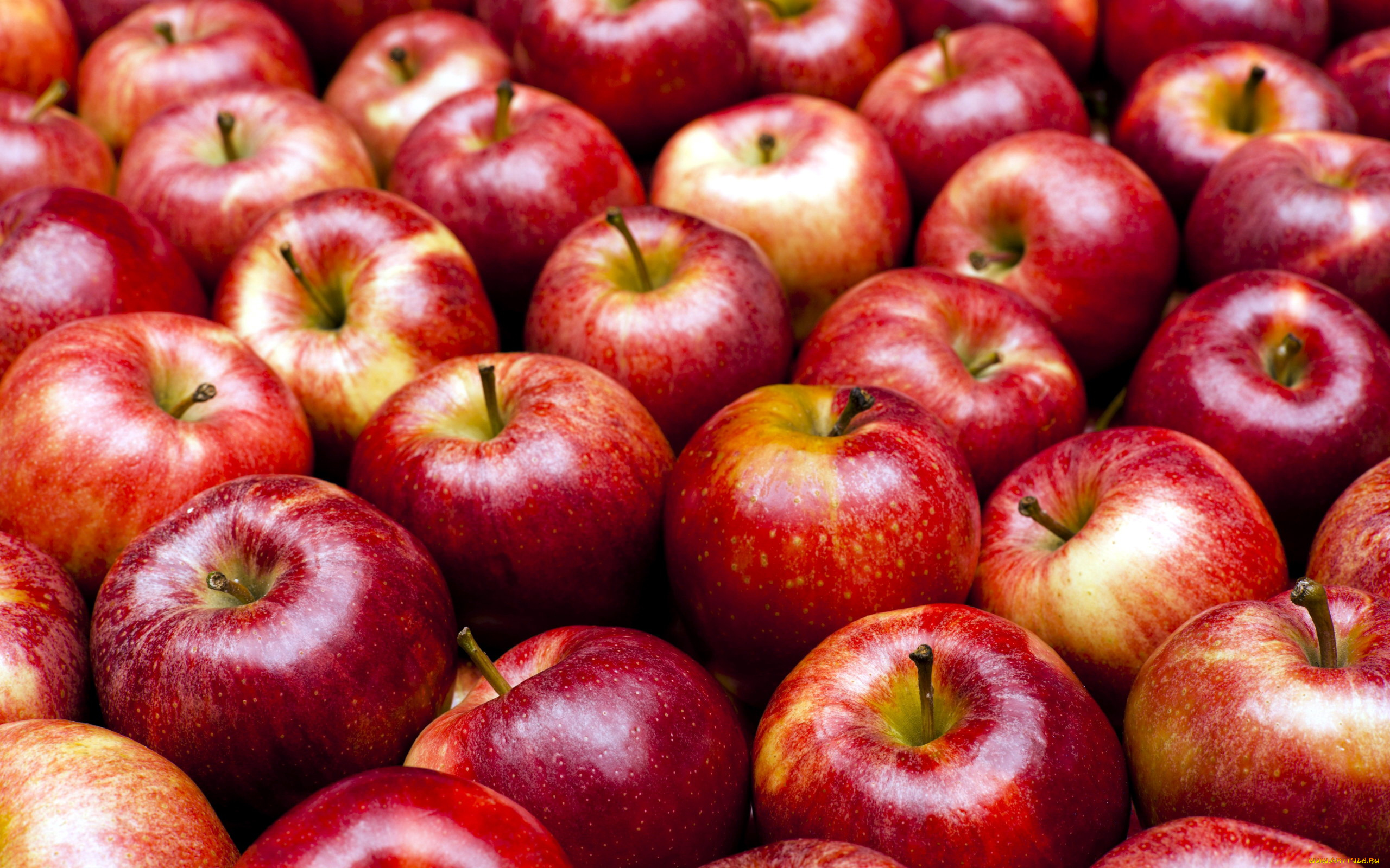 еда, яблоки, краснобокие, много, макро