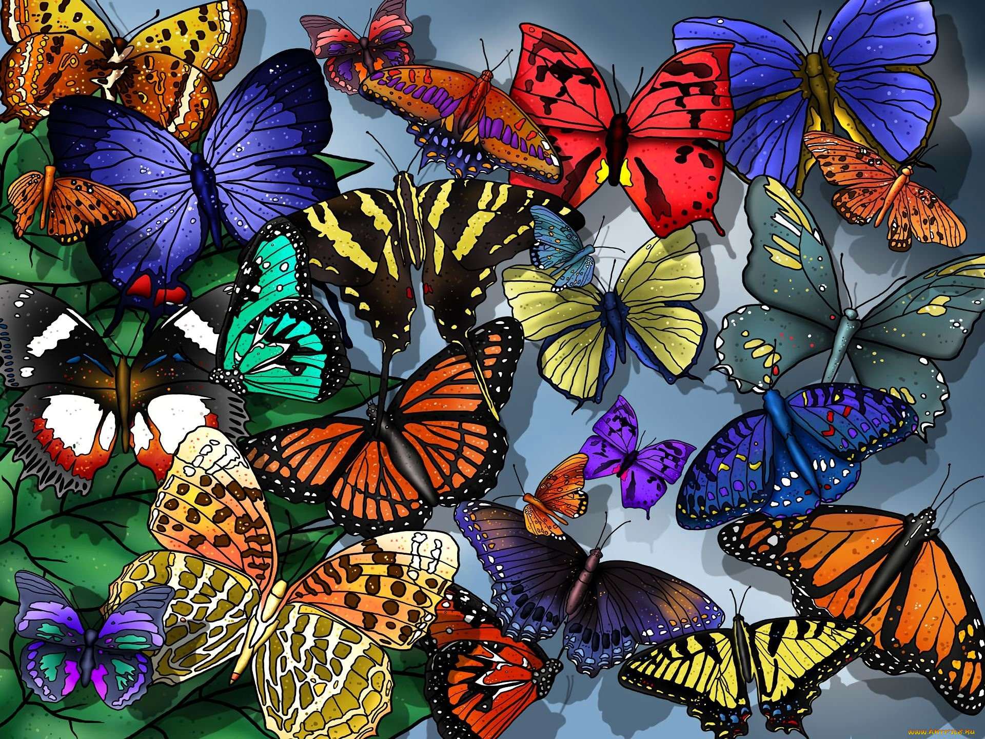рисованное, животные, , бабочки, бабочки