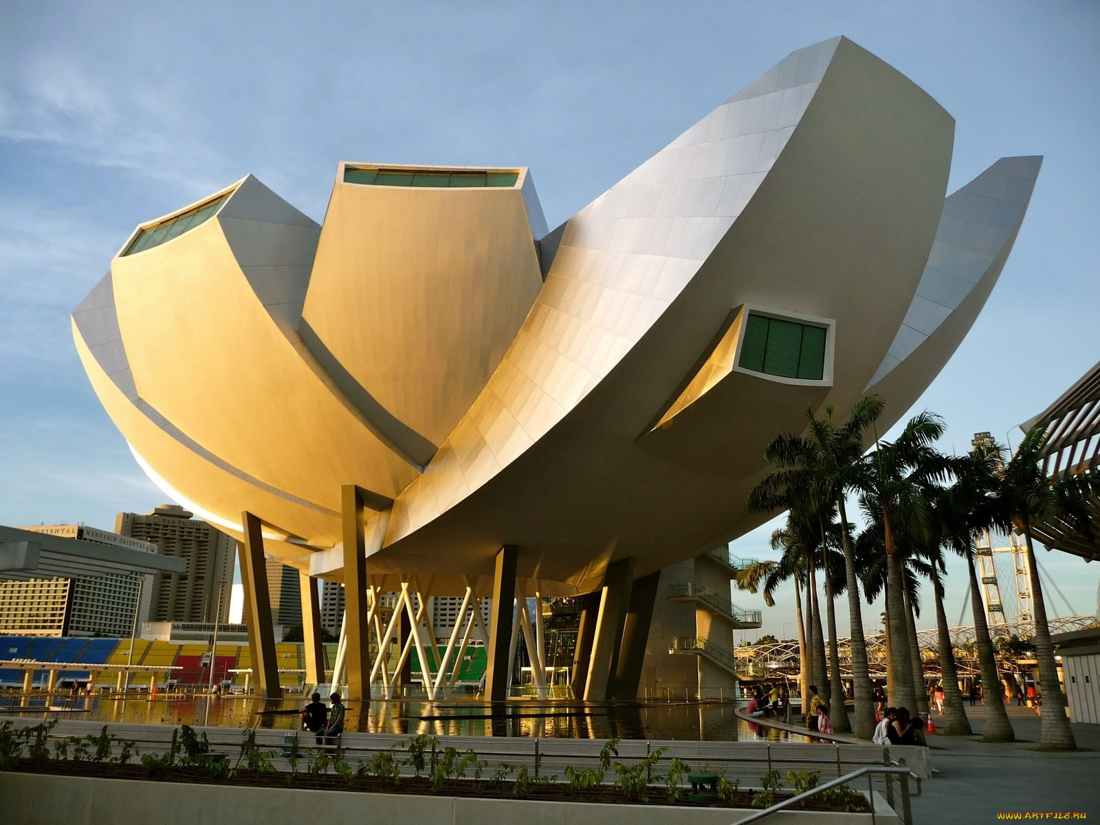 города, сингапур, пальмы, здание, фонтан, artscience, museum