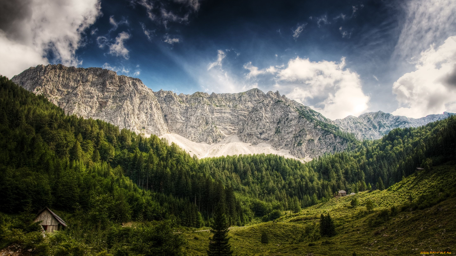 природа, горы, деревья, лес, австрия, austria