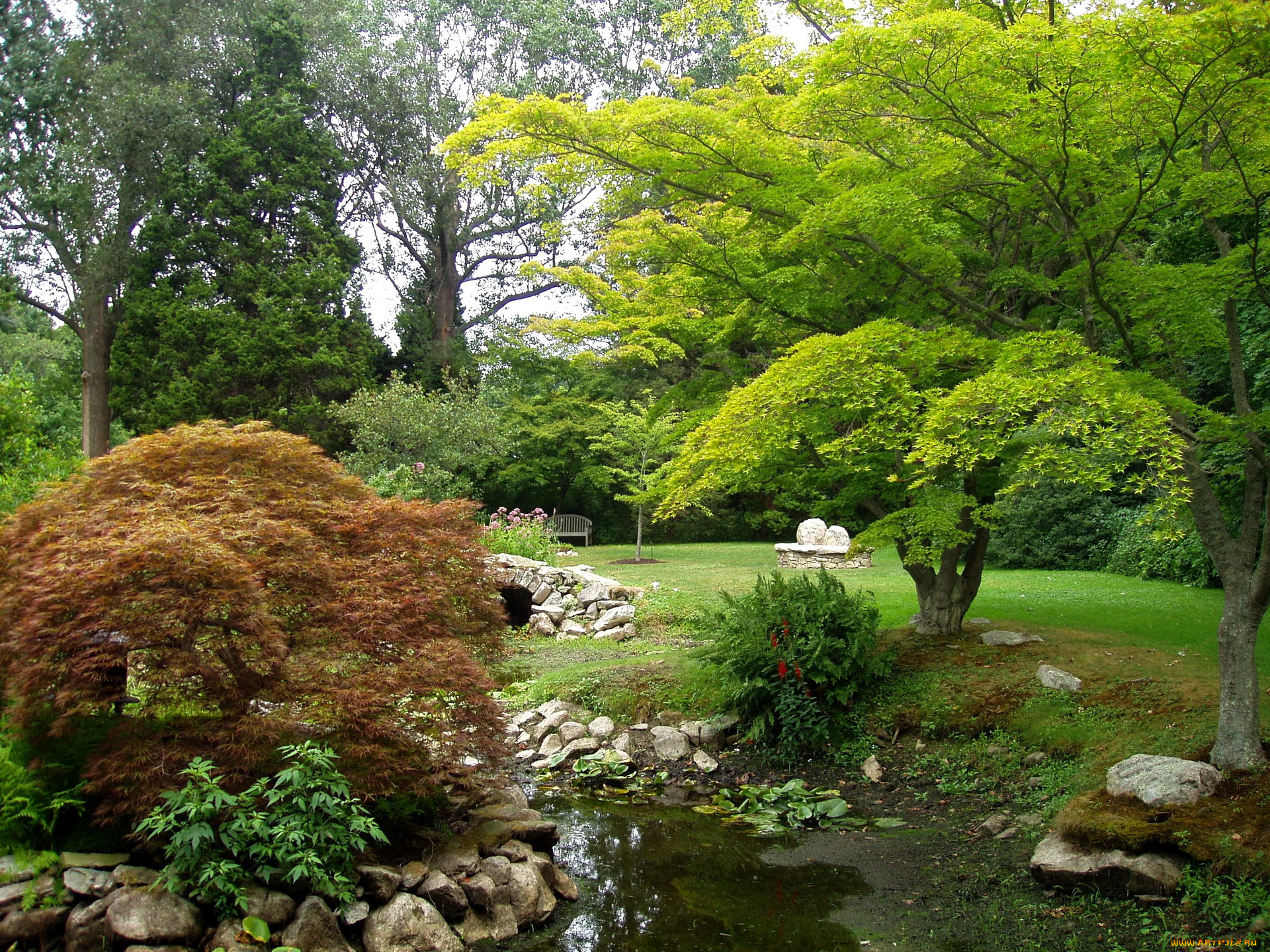 water, garden, особняк, blithewold, сша, природа, парк, сад, вода, деревья