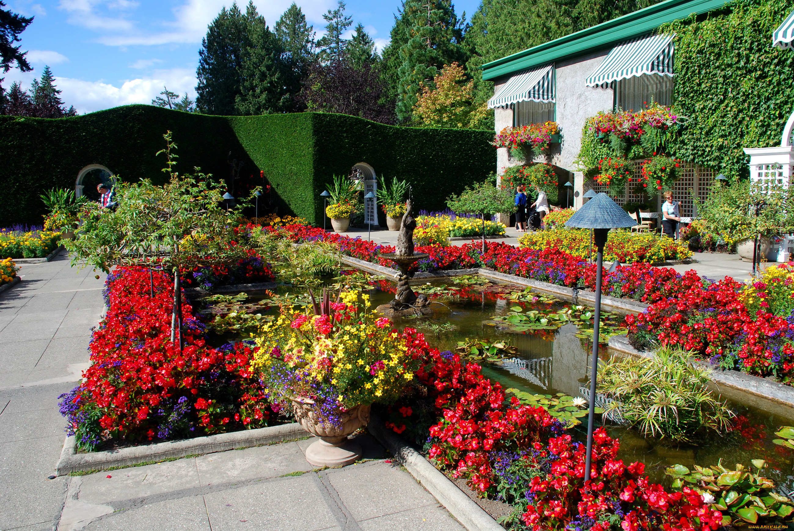 природа, парк, canada, italian, garden, victoria