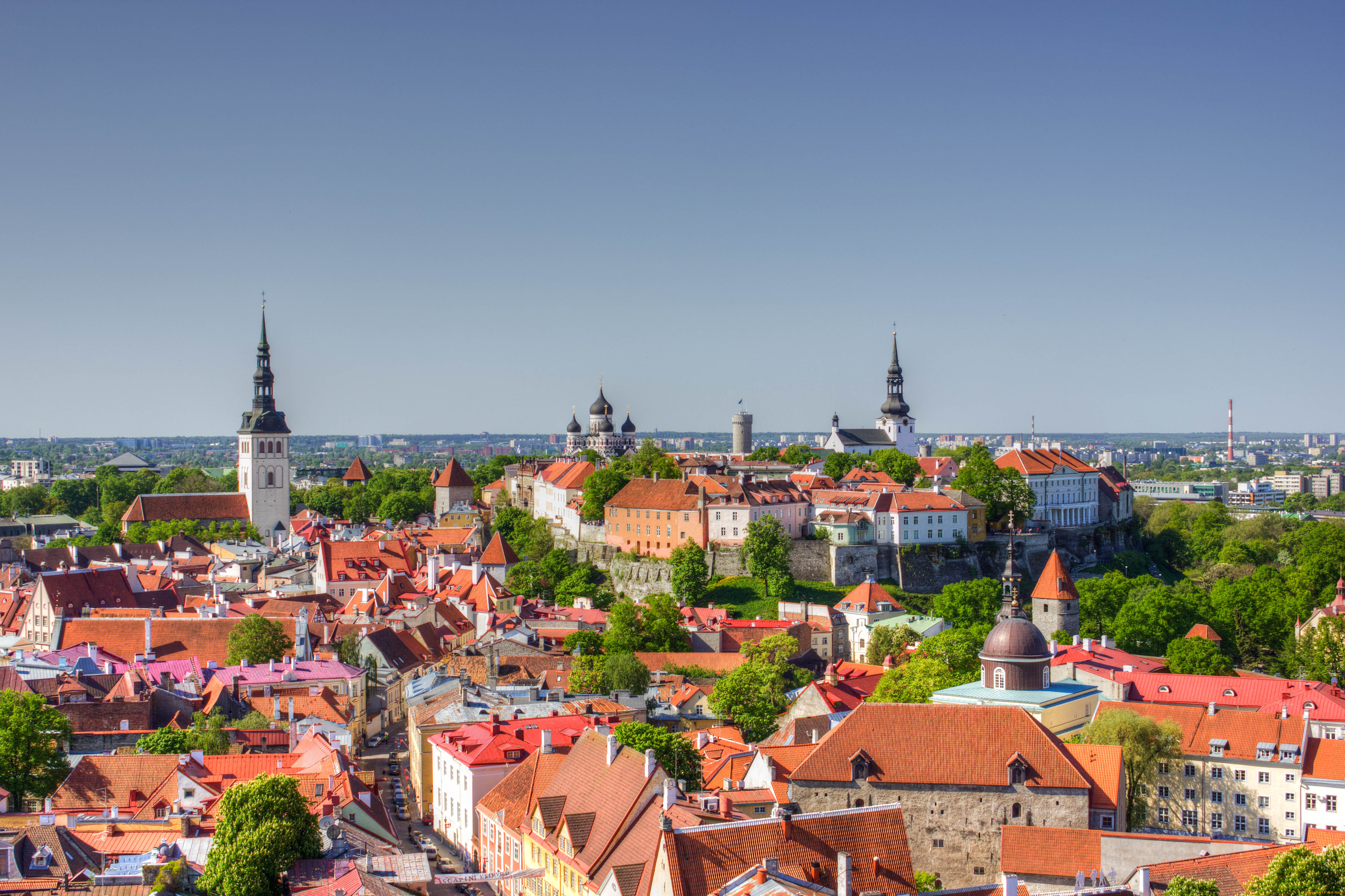 tallinn, estonia, города, таллин, эстония, панорама, старый, город