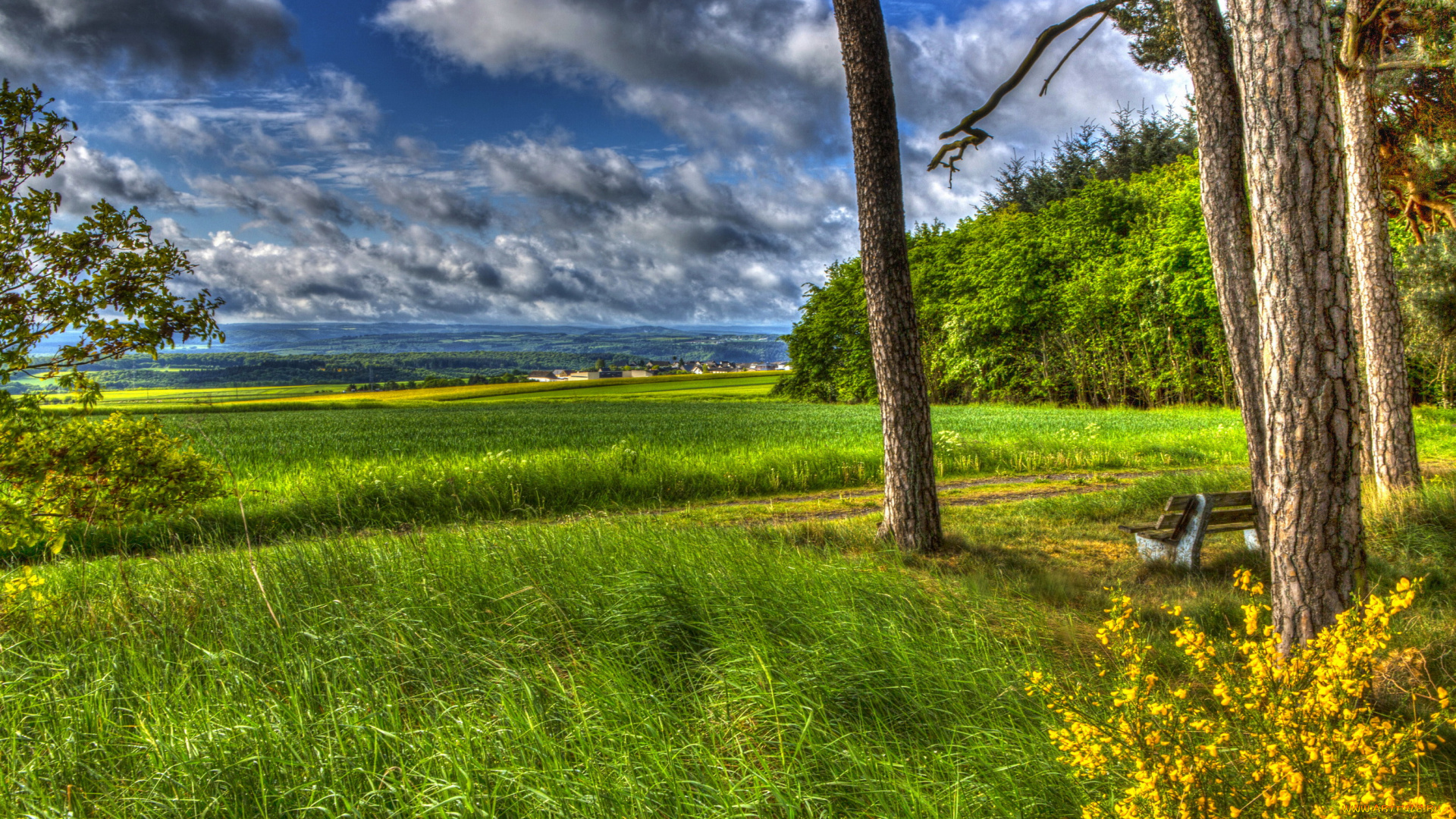 ландкерн, германия, природа, пейзажи, ландкерн, трава, пейзаж, весна, германия, деревья