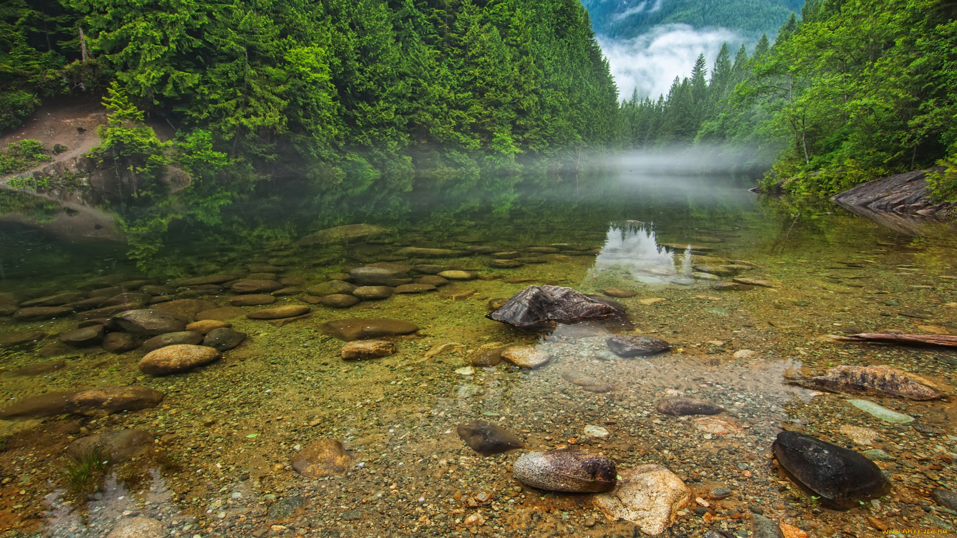 природа, реки, озера, canada, british, columbia, туман, камни, канада, лес, горы, река, деревья