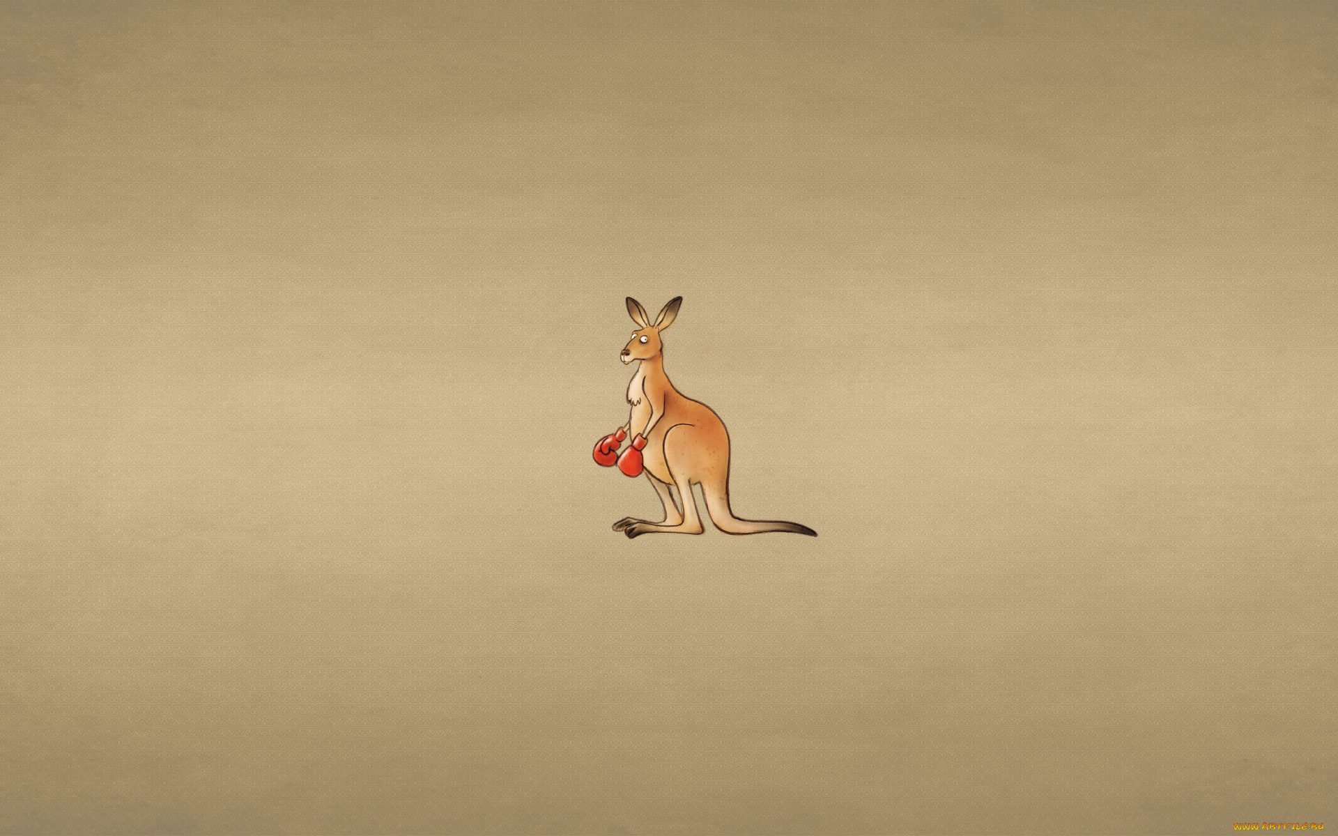 рисованные, минимализм, боксерские, перчатки, кенгуру, фон, взгляд, kangaroo