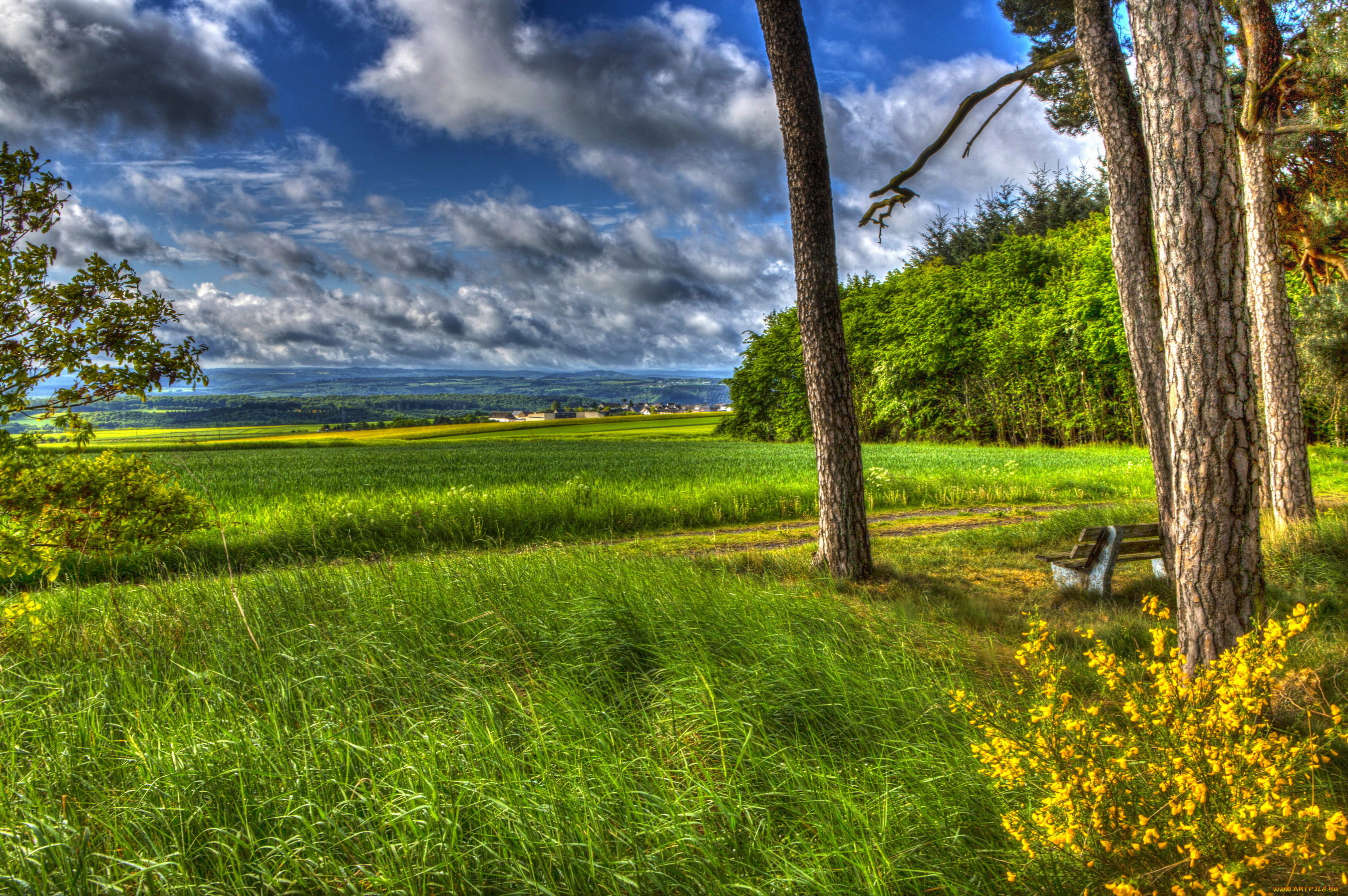 ландкерн, германия, природа, пейзажи, ландкерн, трава, пейзаж, весна, германия, деревья