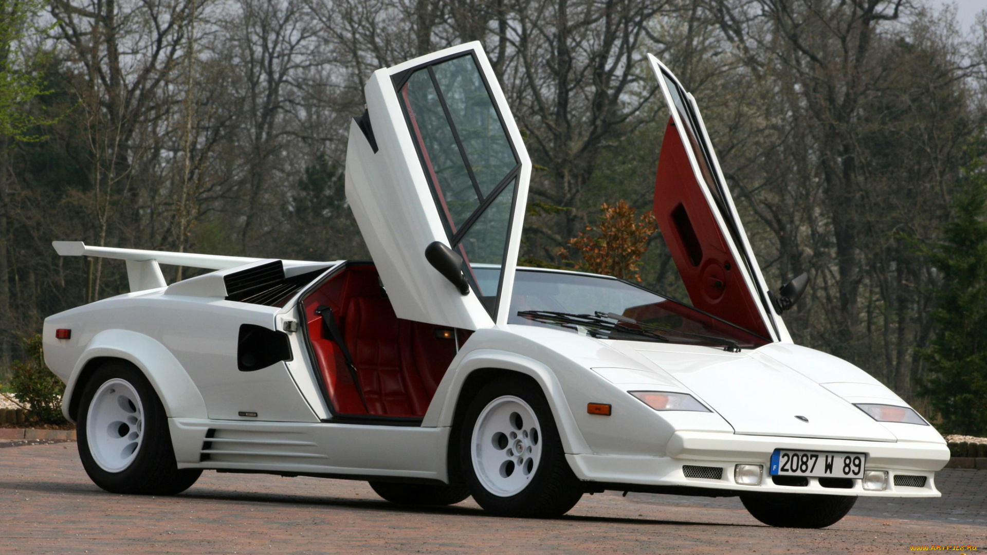 lamborghini, countach, 5000, quattrovalvole, автомобили