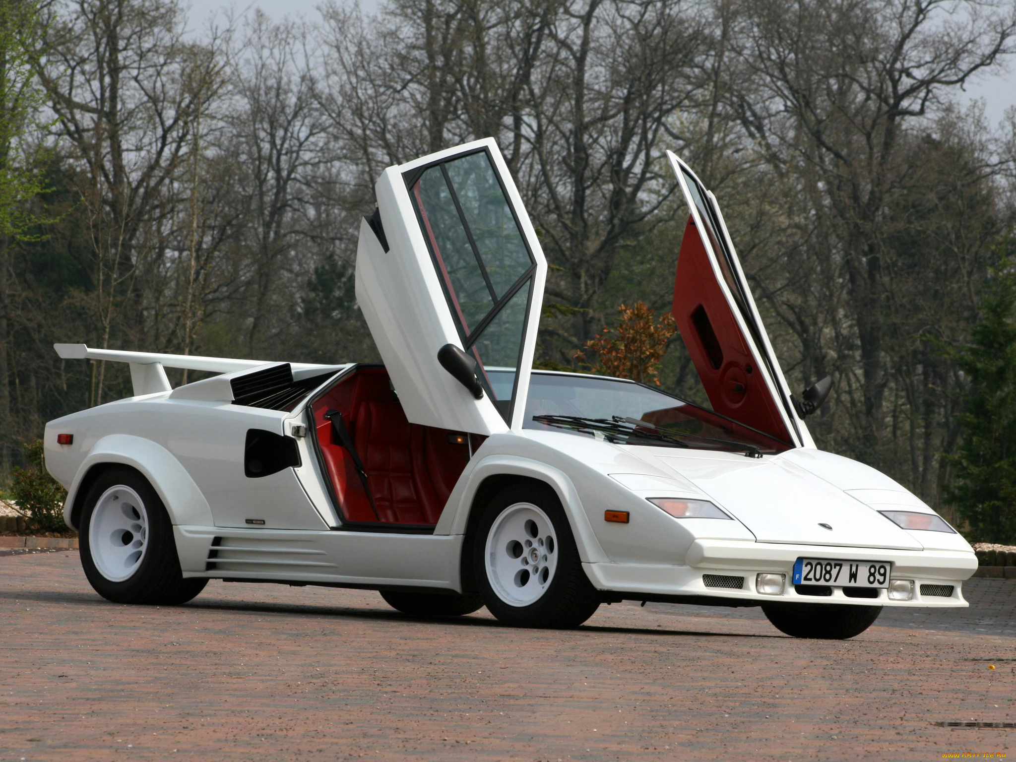 lamborghini, countach, 5000, quattrovalvole, автомобили