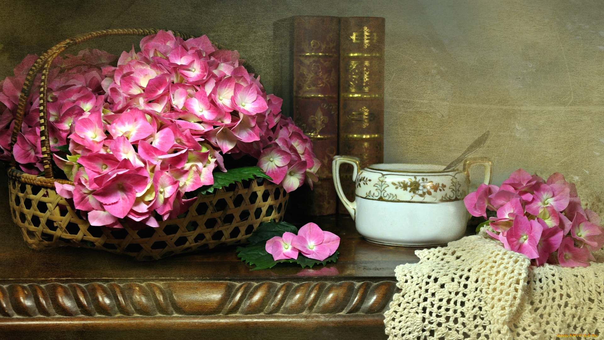 цветы, гортензия, розовый, книга, текстура