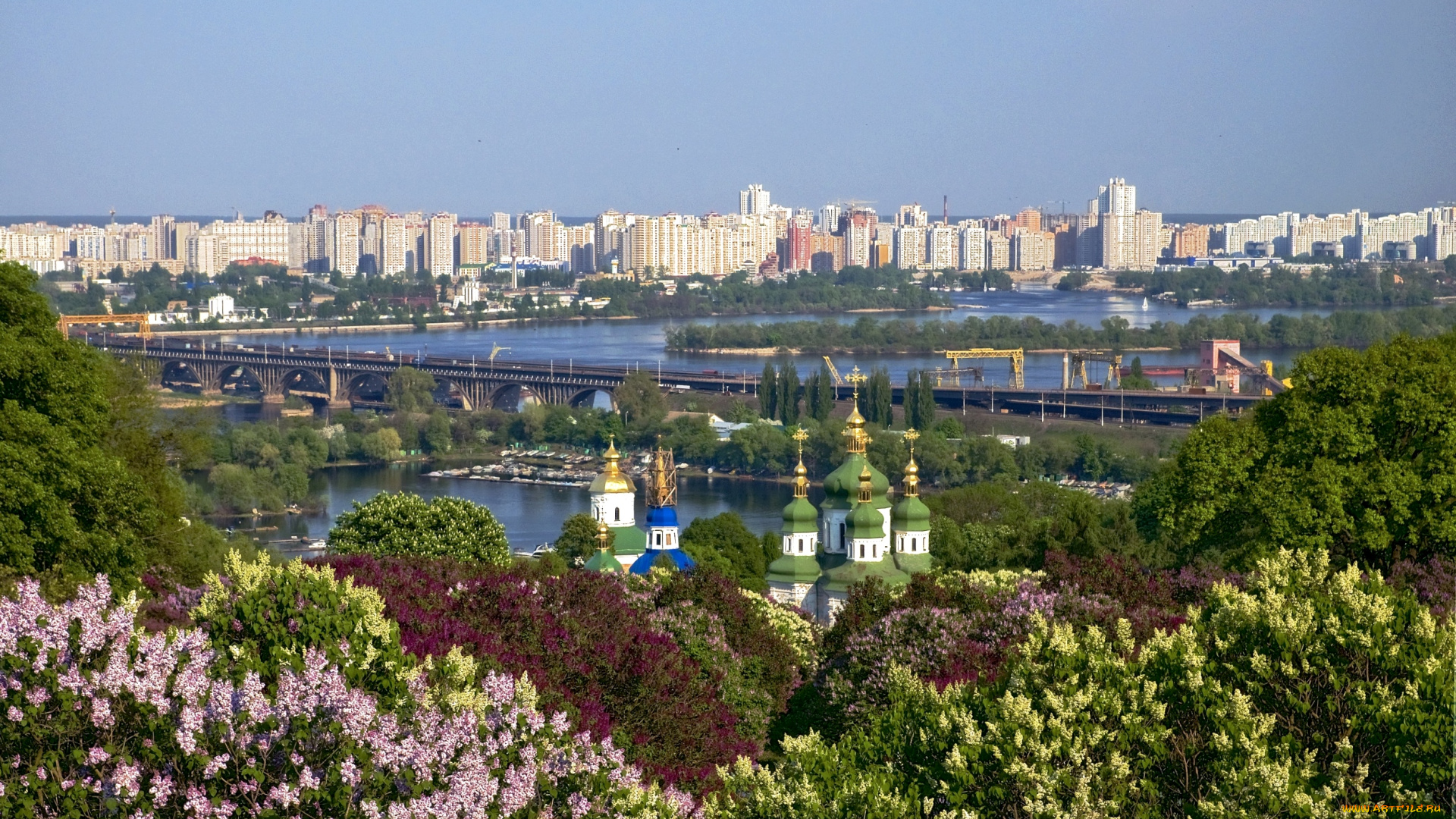 города, киев, украина, сирень, панорама, купола