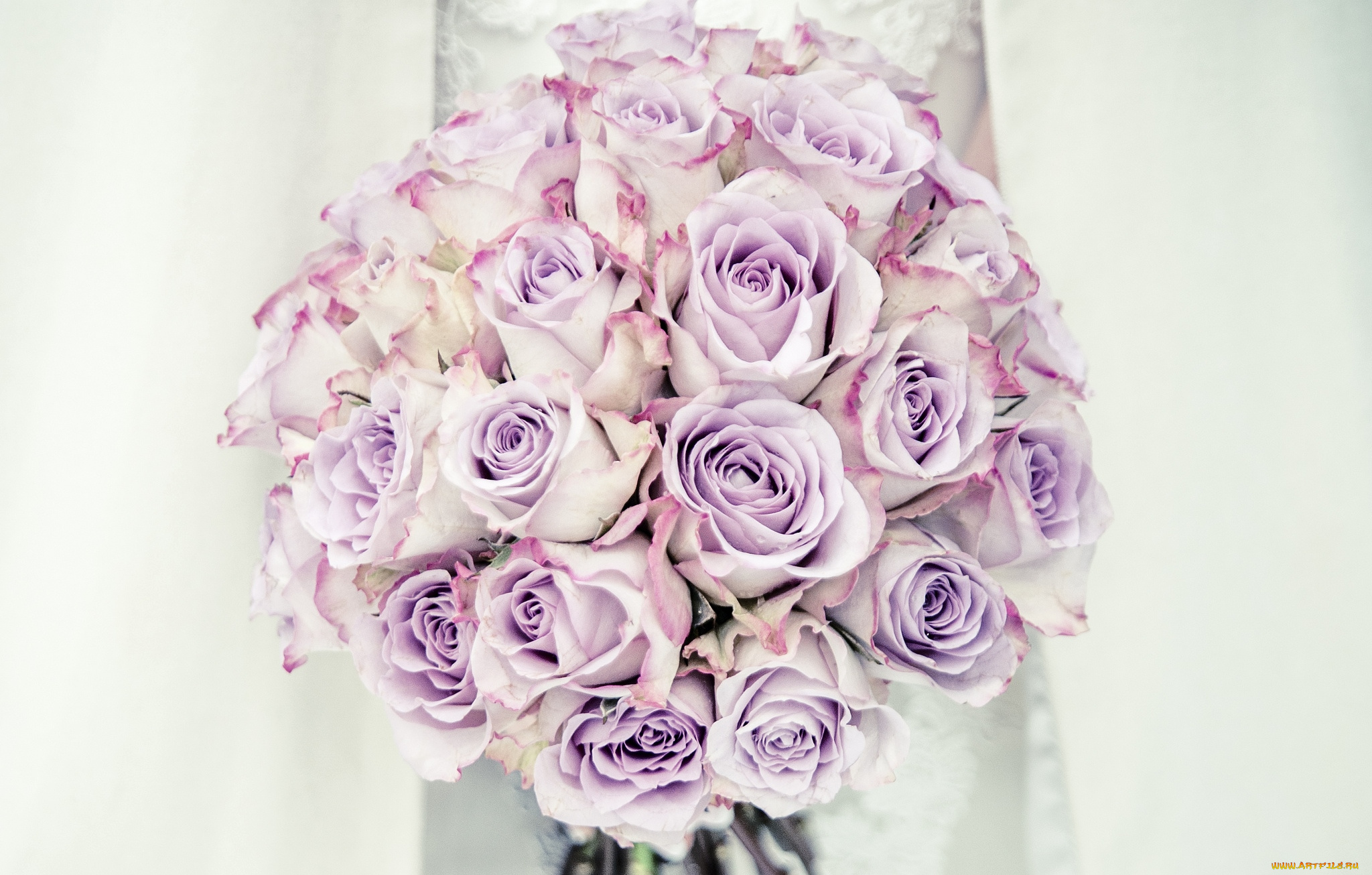 цветы, розы, свадебный, розовый