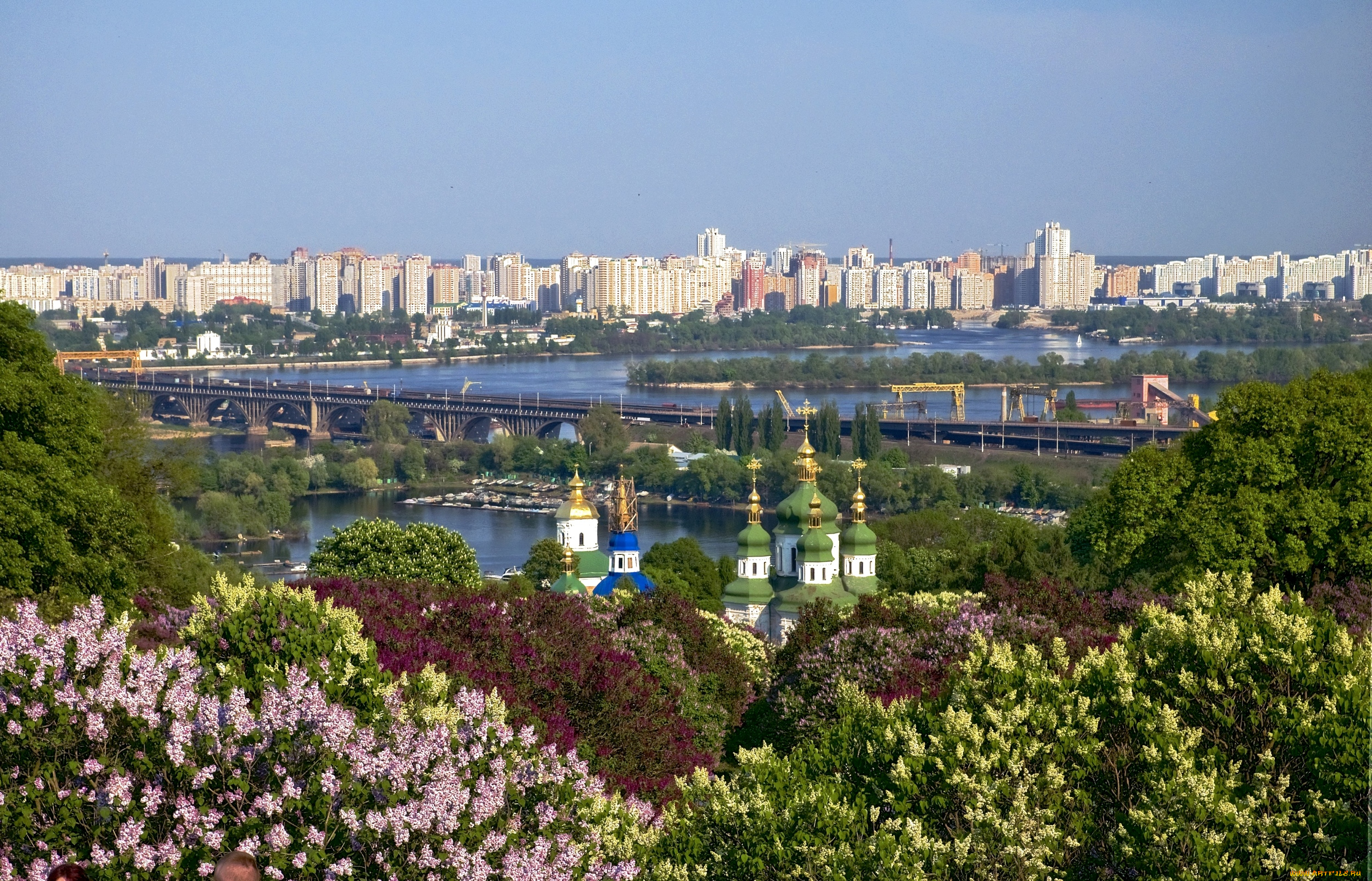 города, киев, украина, сирень, панорама, купола