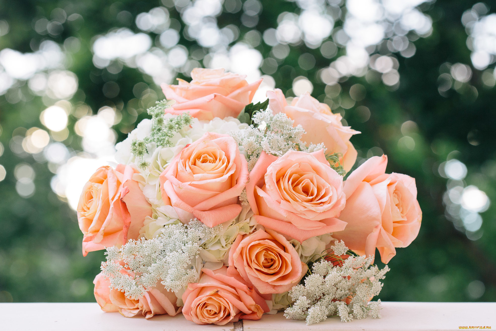 цветы, букеты, , композиции, свадебный, букет, розы, бутоны