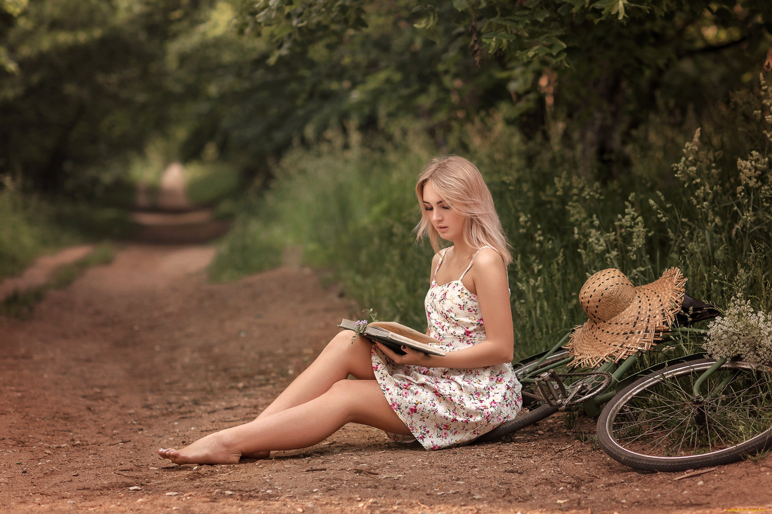 девушки, -, блондинки, , светловолосые, велосипед, блондинка, шляпа, книга