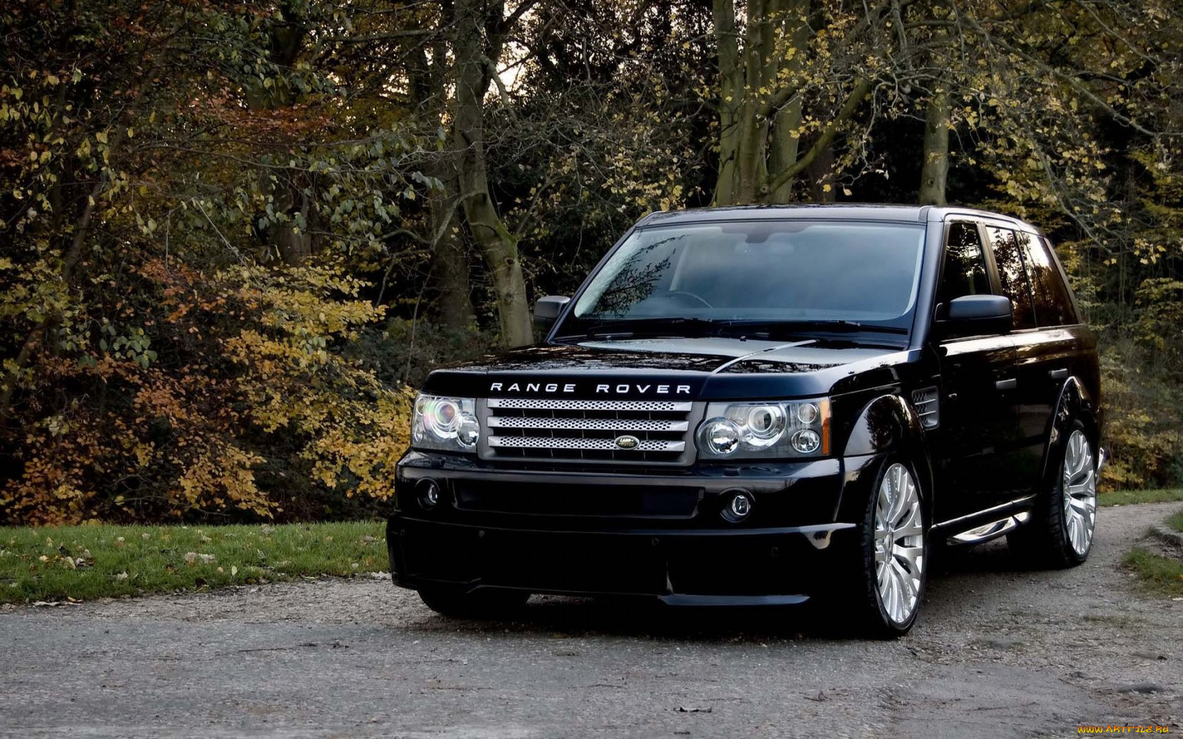 автомобили, range, rover