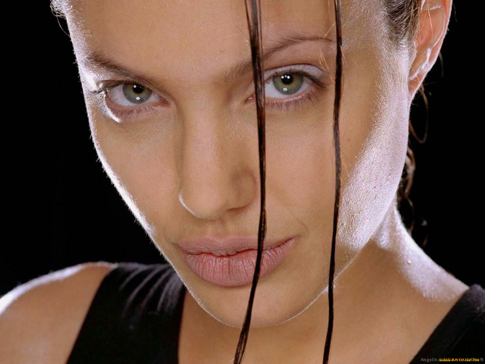 Angelina, Jolie, девушки, , , лицо, крупным, планом, пряди, волос