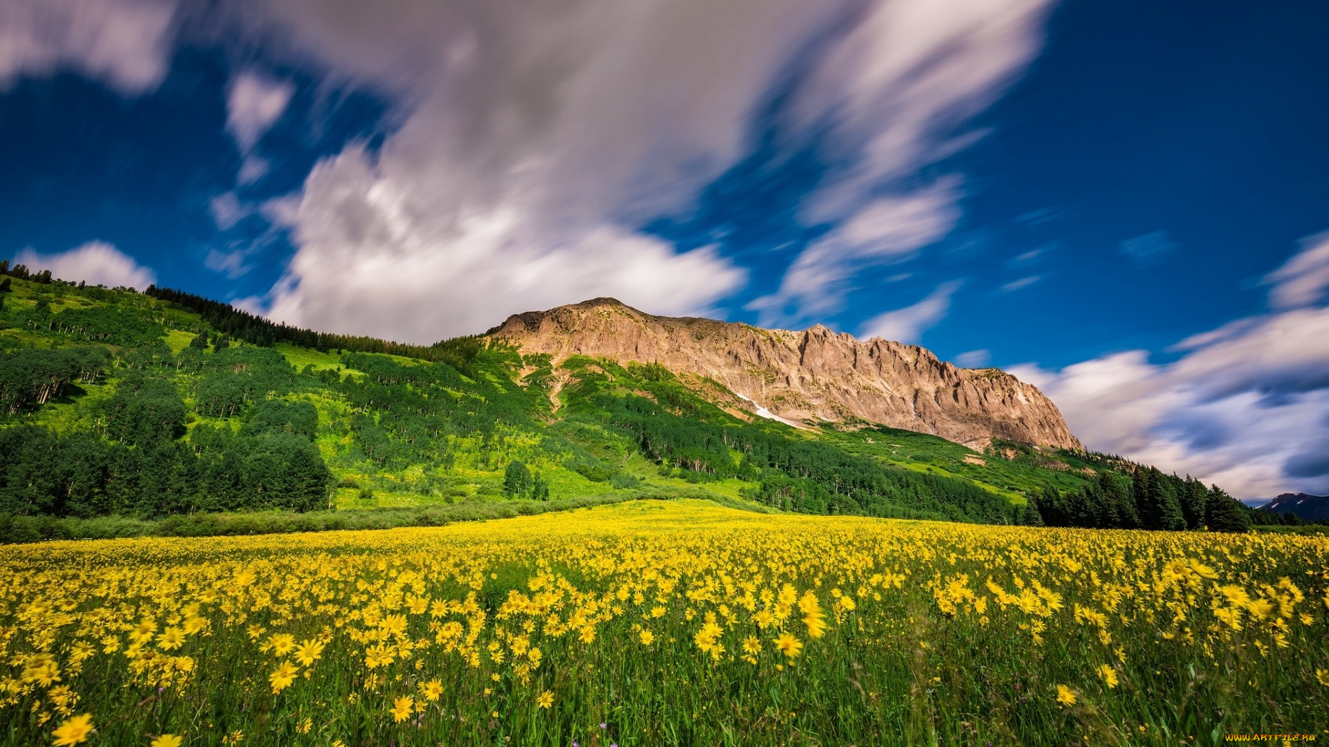 природа, горы, облака, цветы, луг, колорадо, colorado, crested, butte, mountain, resort