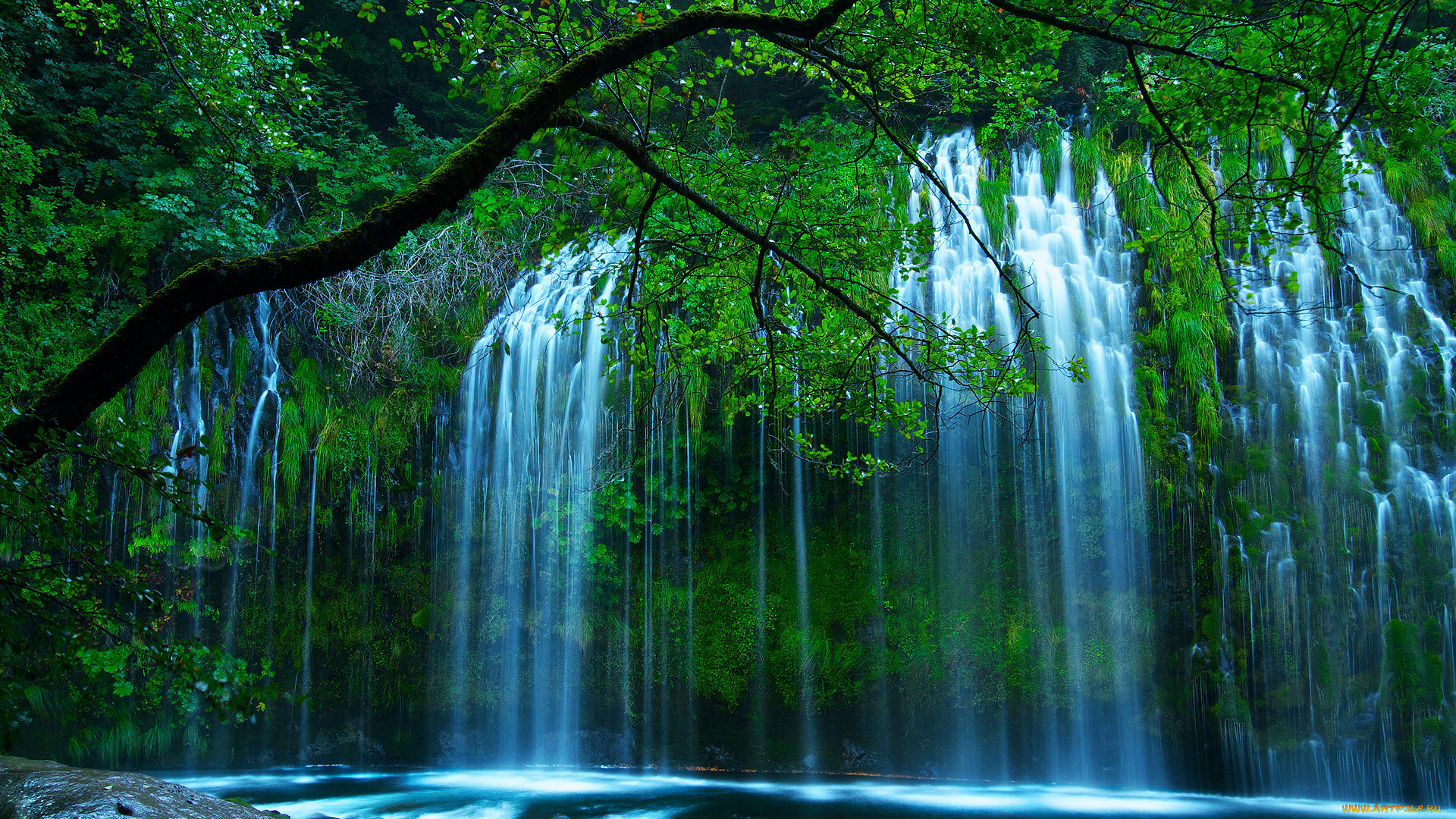 природа, водопады, камни, зелень, деревья, лес, водопад