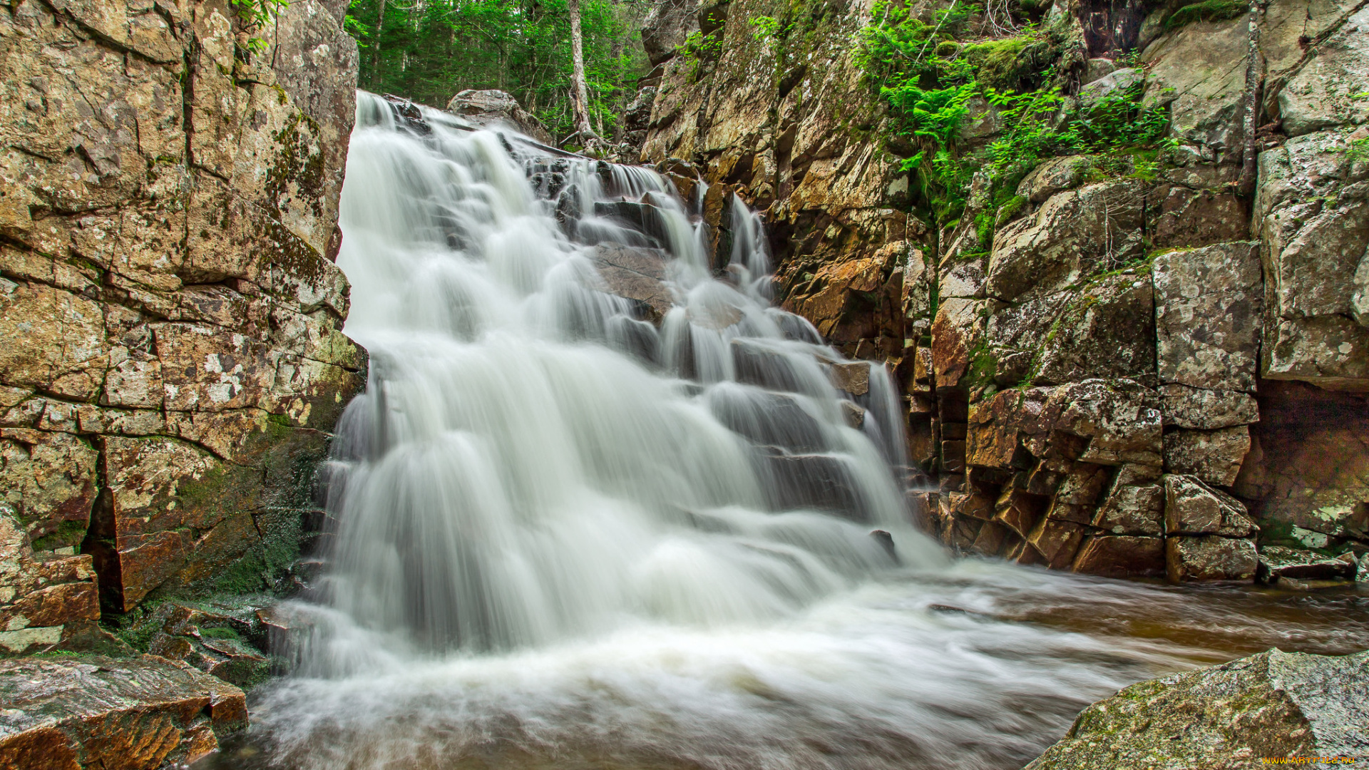 природа, водопады, водопад, река, лес