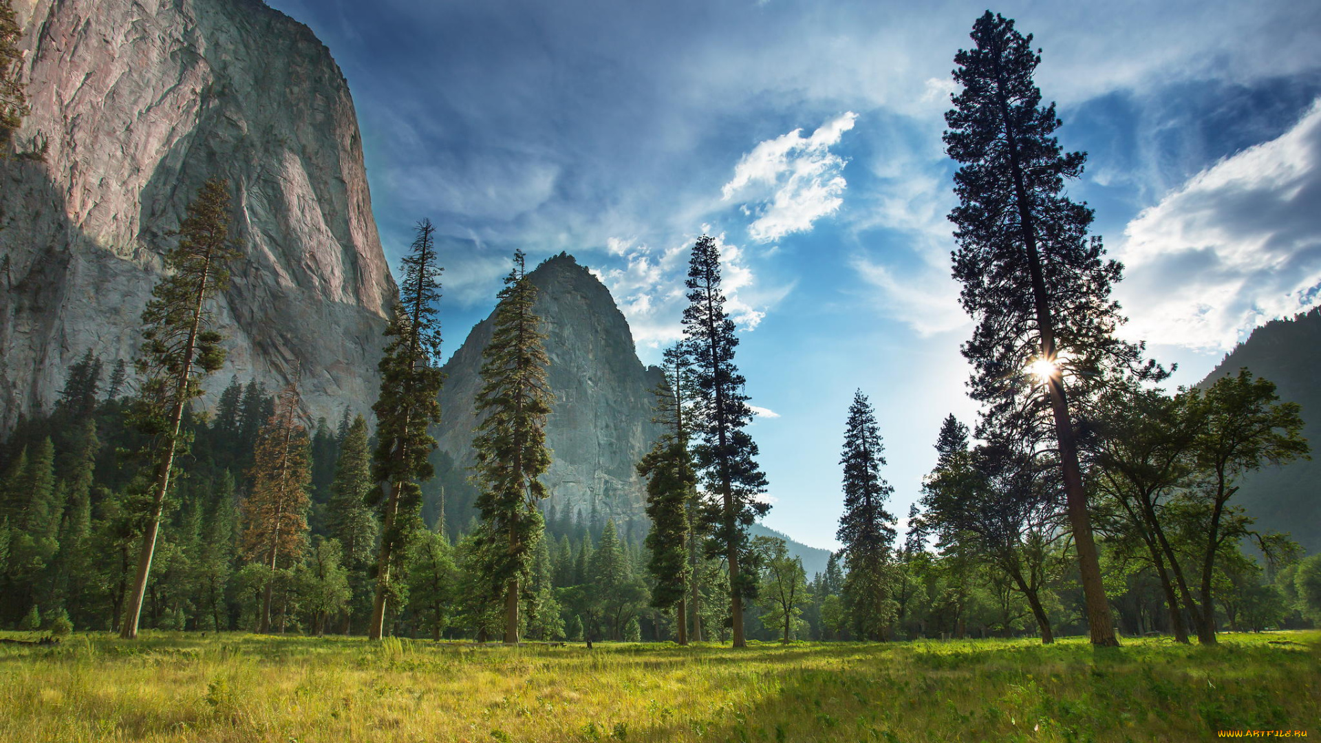 природа, восходы, закаты, растения, yosemite, national, park, лес, гора