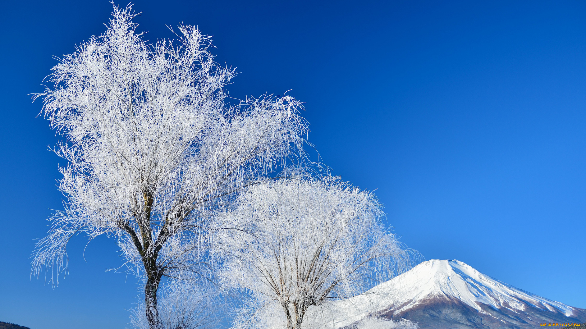 природа, зима, деревья, небо, гора, фудзияма, снег, Япония
