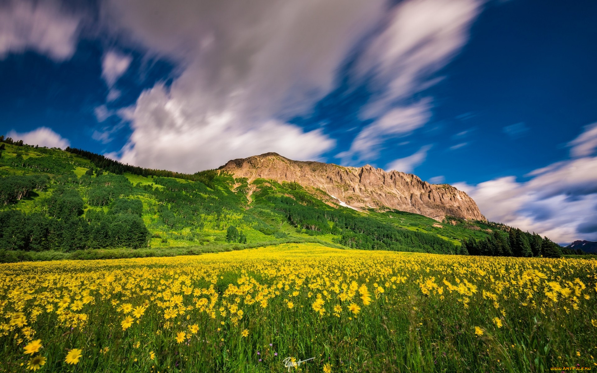 природа, горы, облака, цветы, луг, колорадо, colorado, crested, butte, mountain, resort