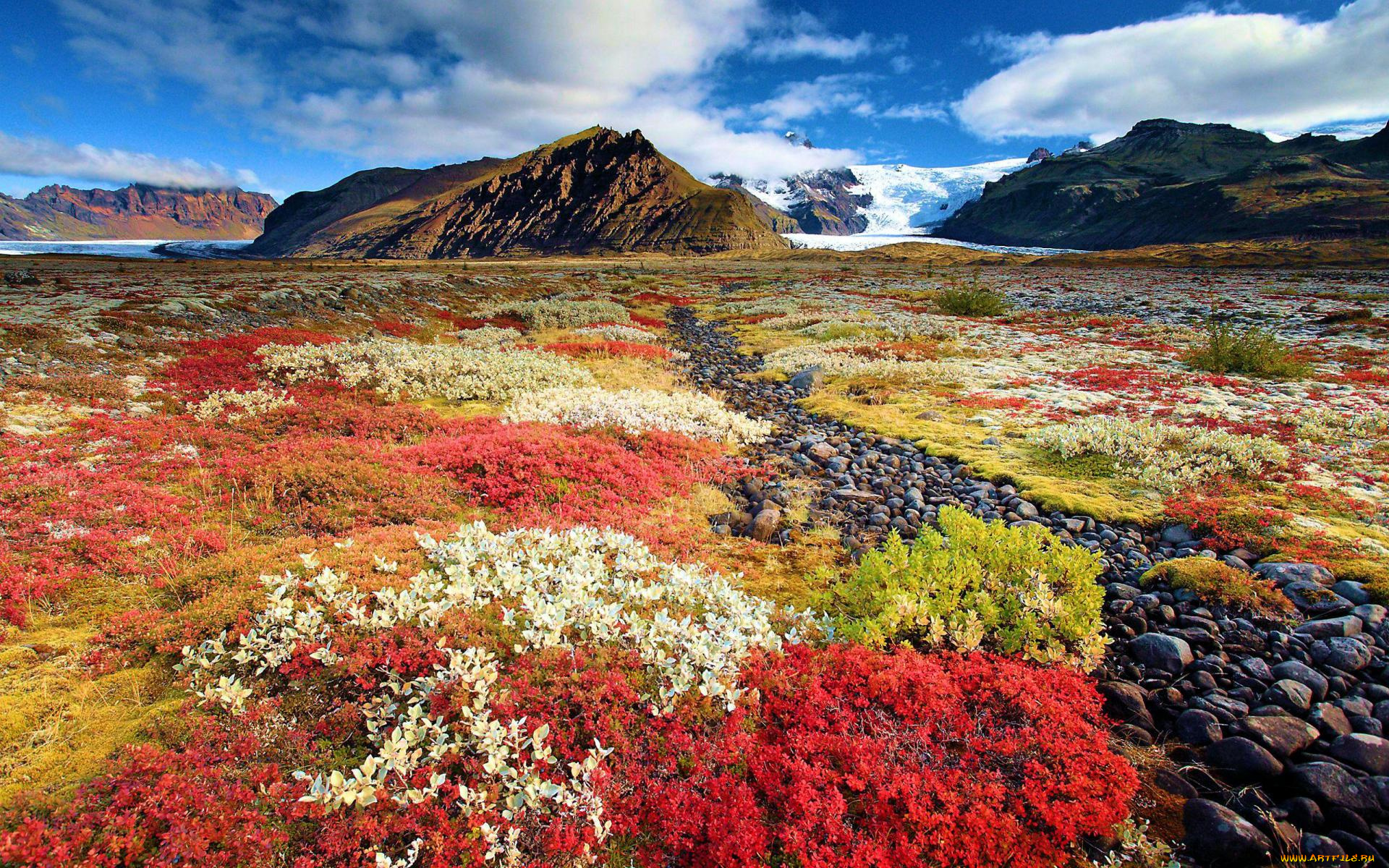 природа, луга, камни, снег, горы, цветы, луг, облака, небо, осень, исландия