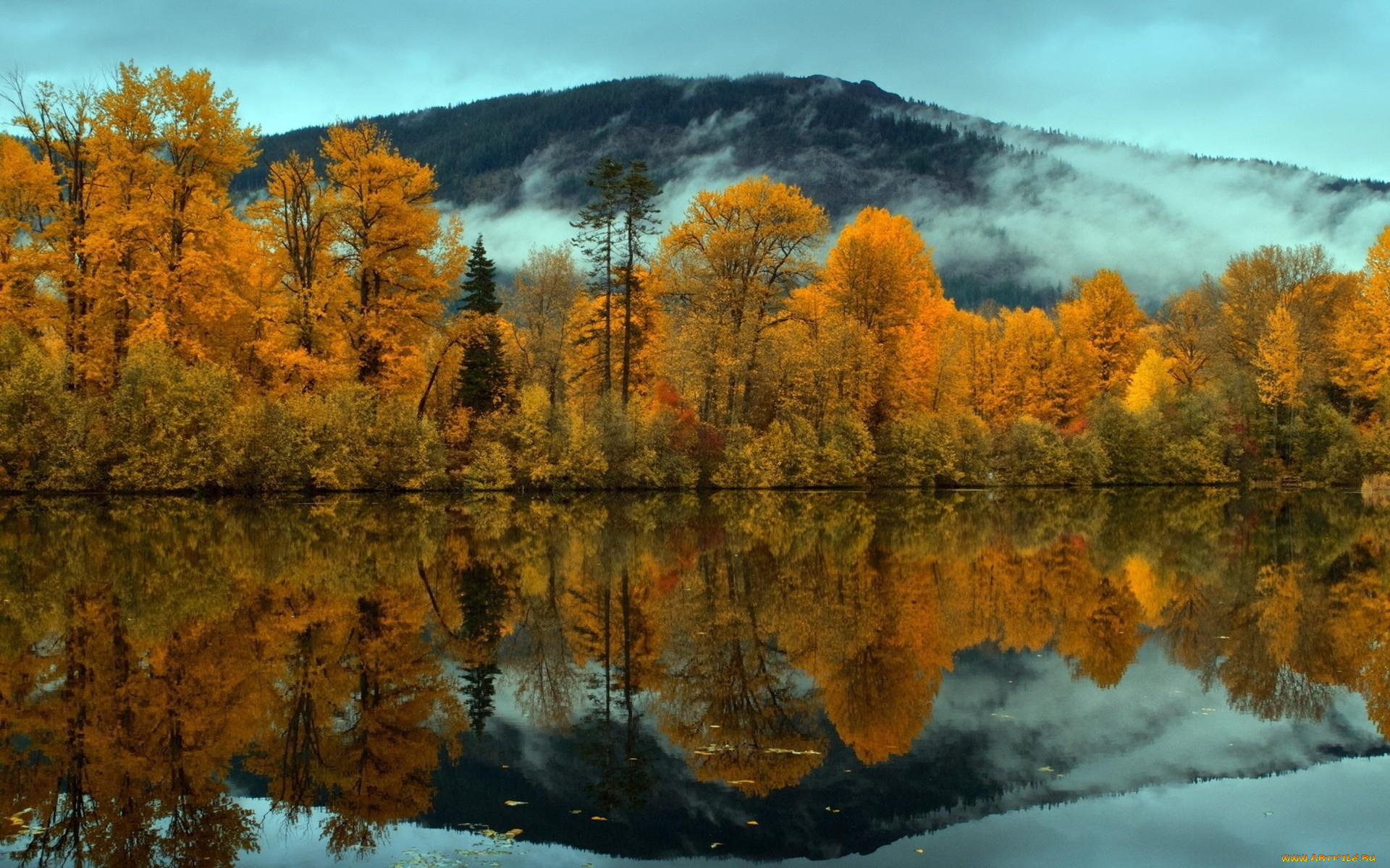 природа, реки, озера, осень, деревья, лес, озеро, отражение, туман, сопка
