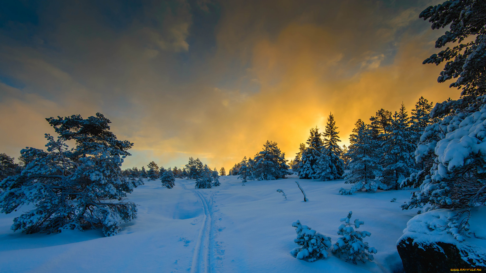 природа, зима, деревья, снег, облака, свет