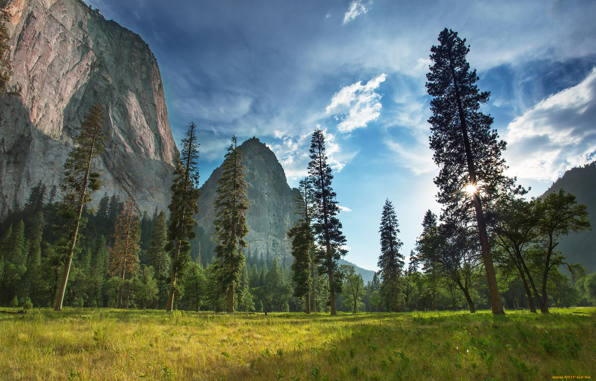 природа, восходы, закаты, растения, yosemite, national, park, лес, гора