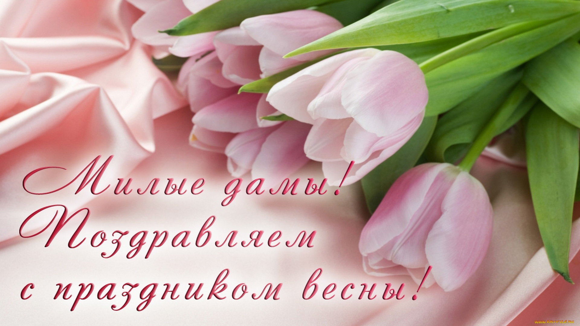 праздничные, международный, женский, день, -, 8, марта, тюльпаны