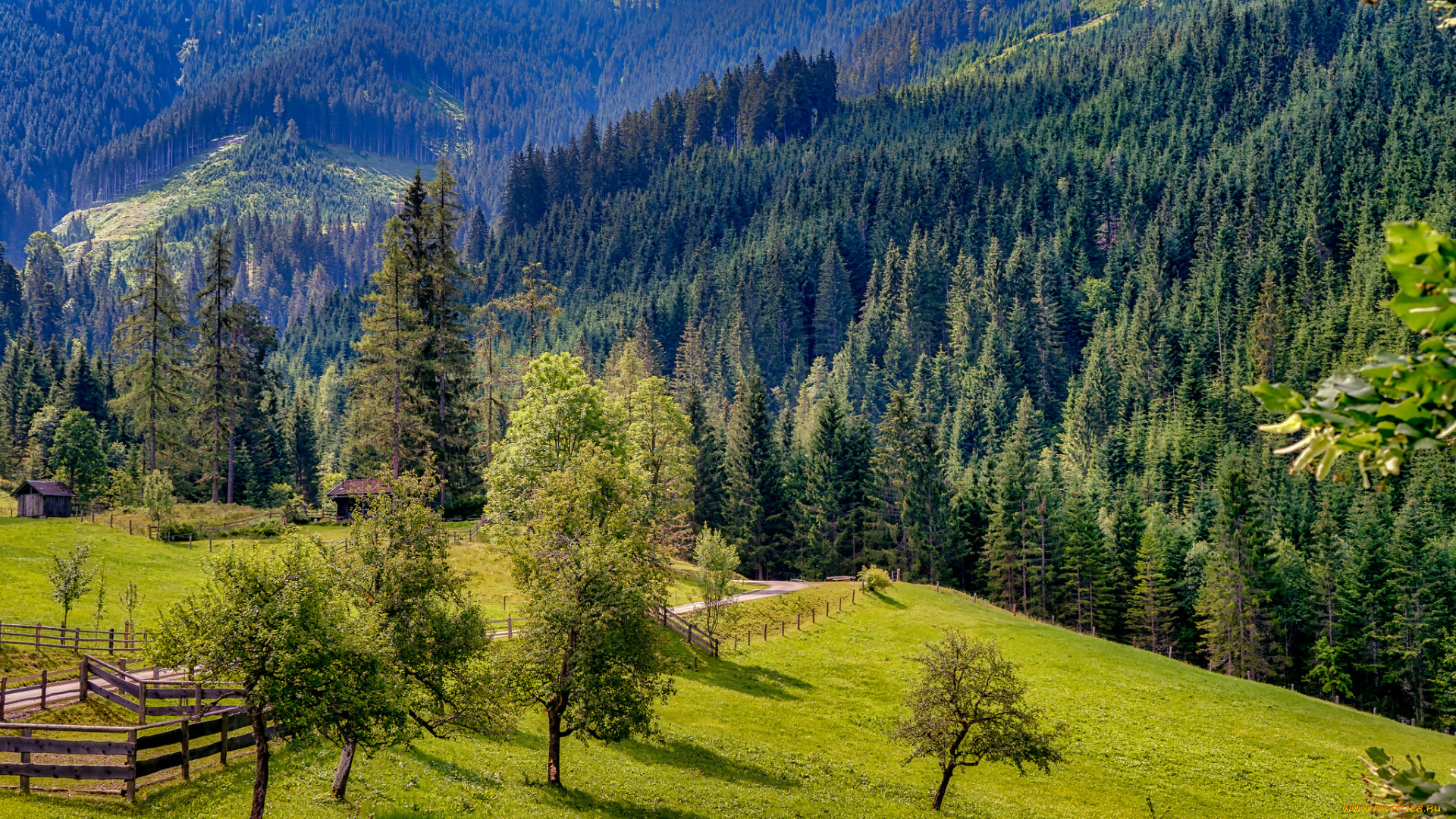 природа, пейзажи, простор